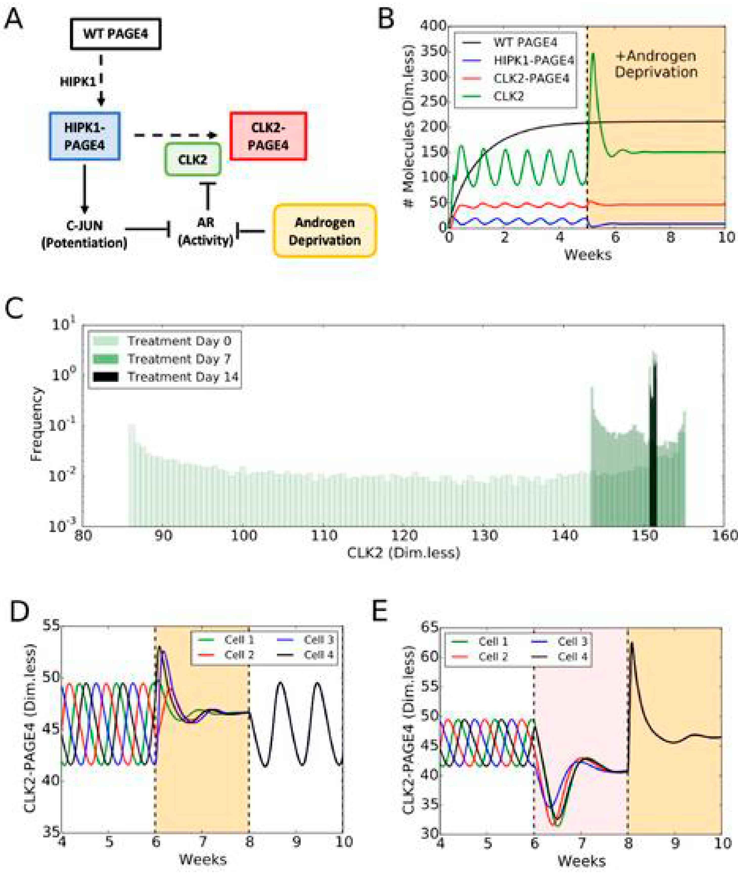 Biomolecules 10 01490 g006