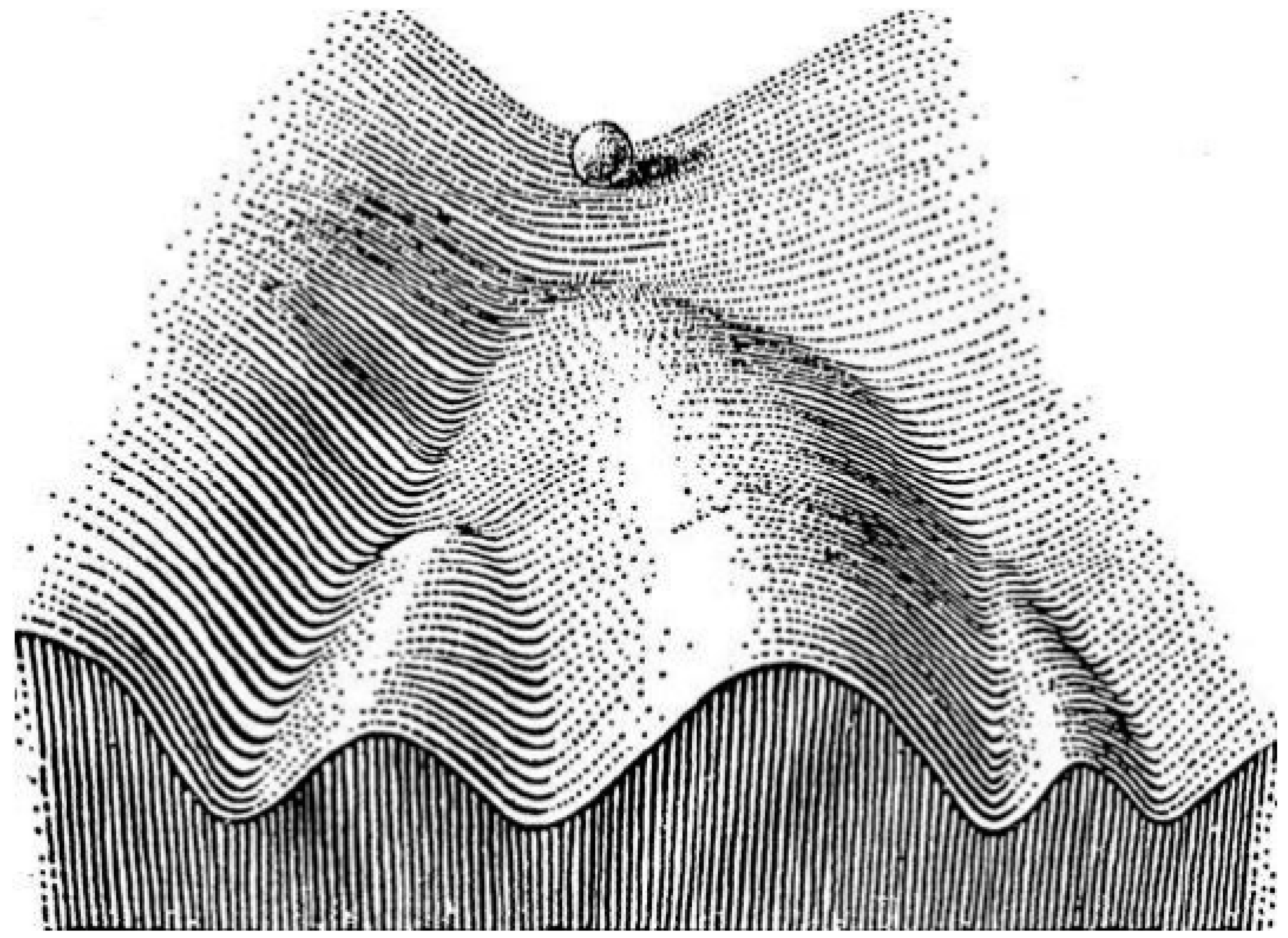 Biomolecules 10 01490 g007