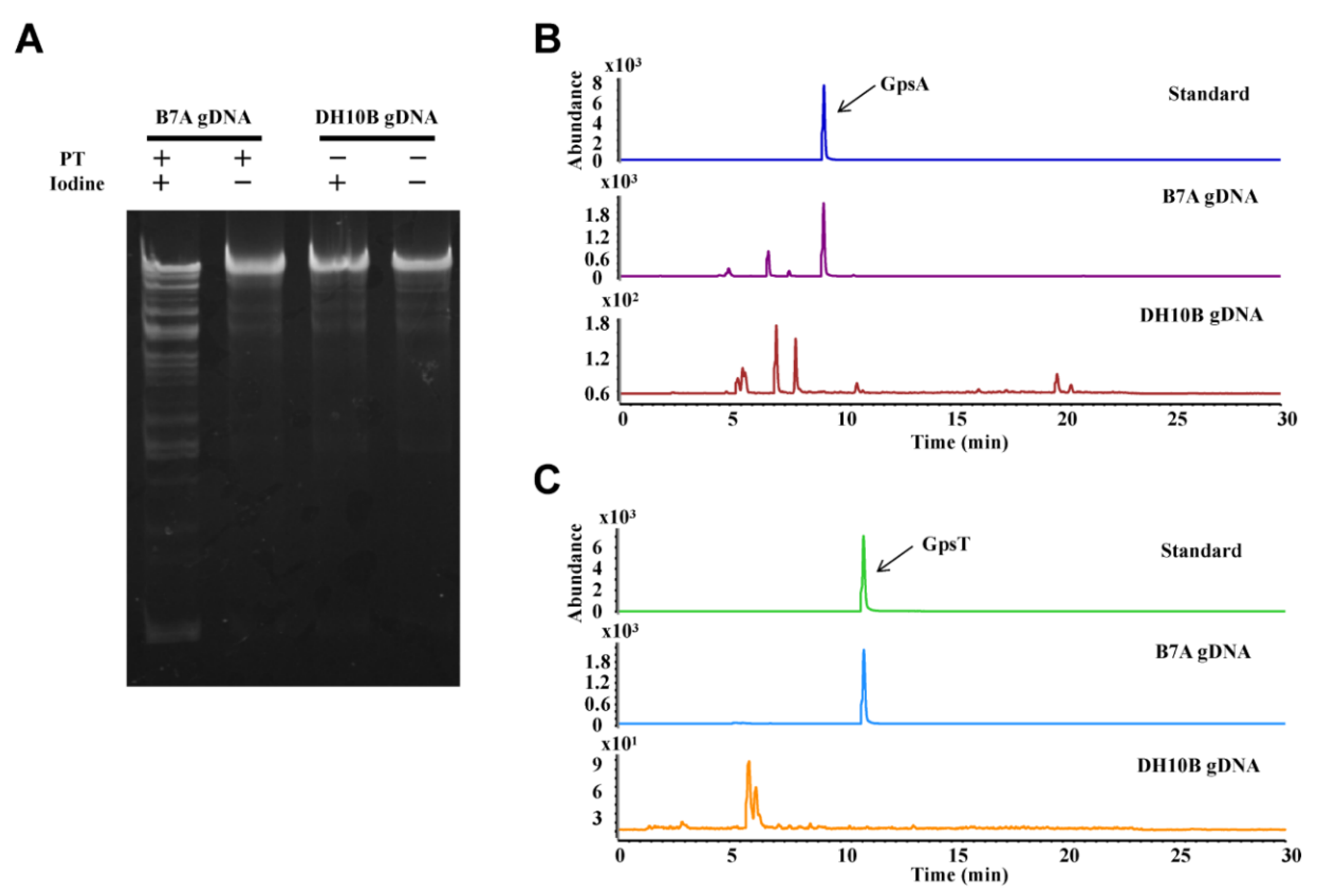 Biomolecules 10 01491 g002 Biomolecules 10 01491 g002