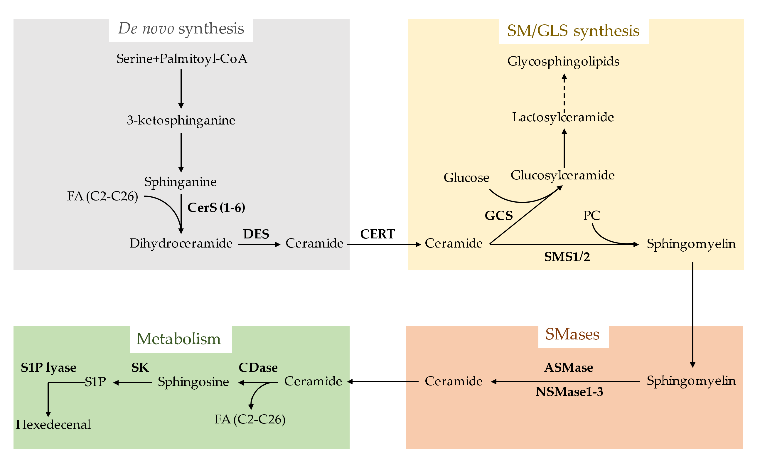 Biomolecules 10 01497 g001