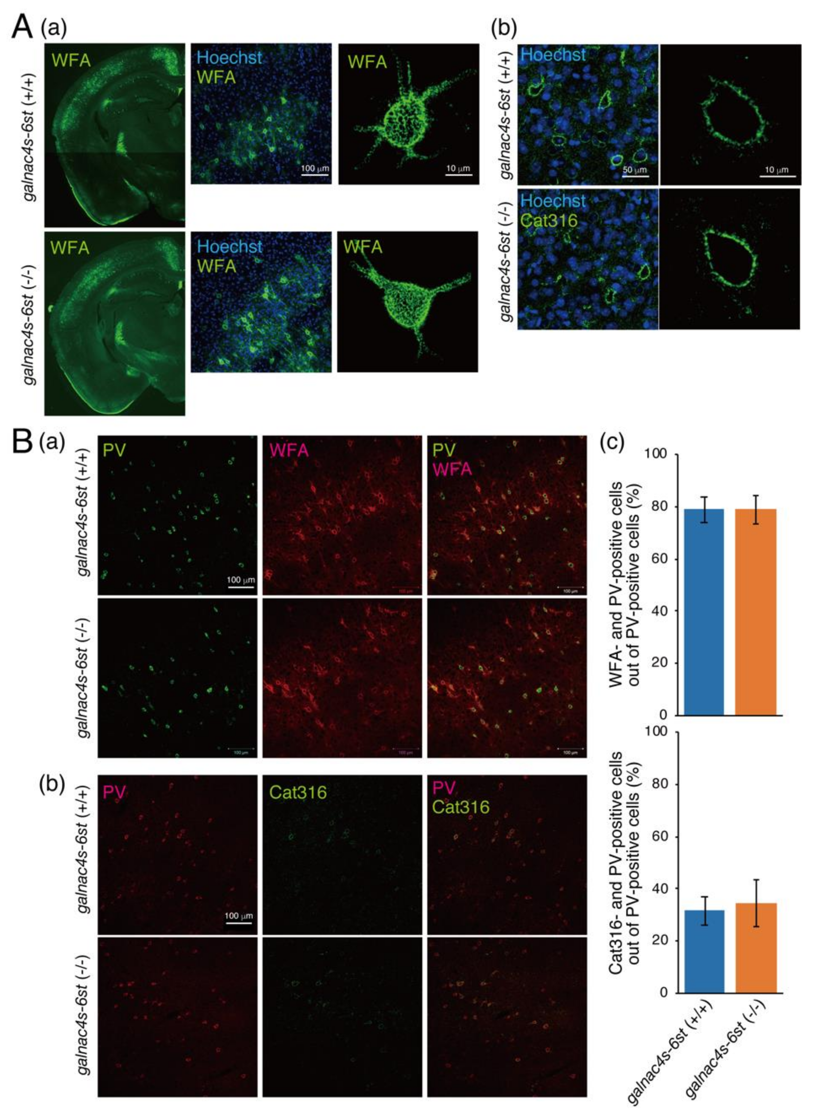 Biomolecules 10 01499 g004 Biomolecules 10 01499 g004