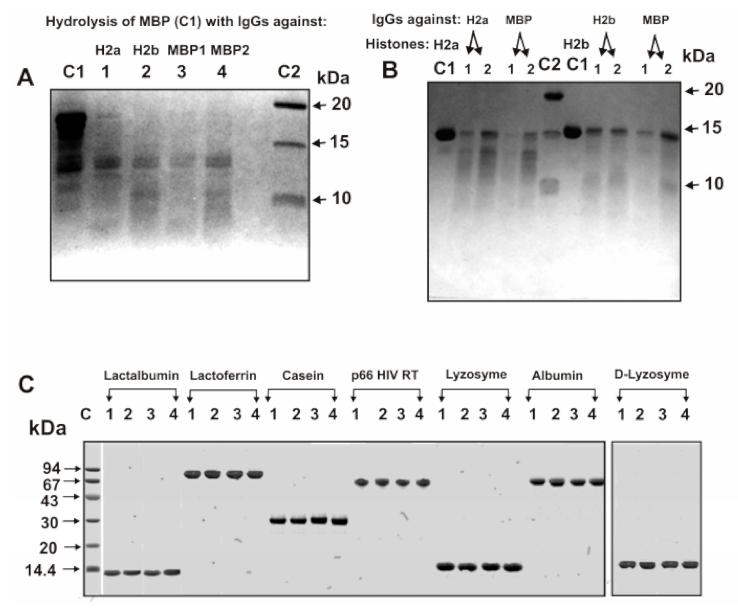 Biomolecules 10 01501 g002