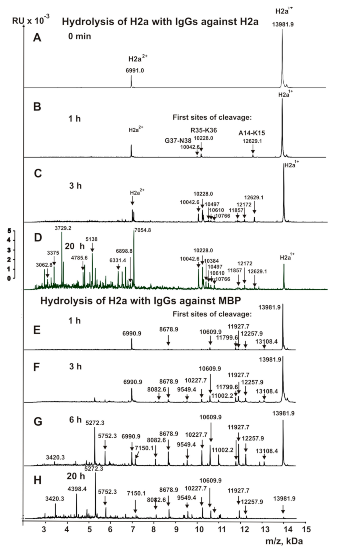 Biomolecules 10 01501 g003