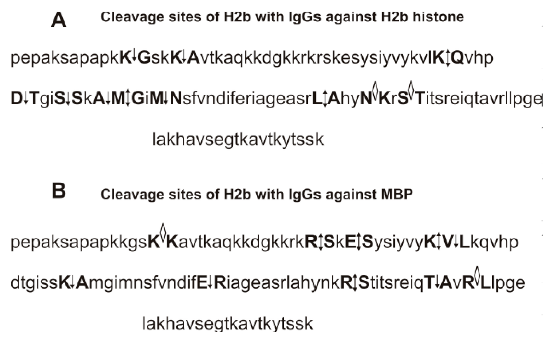 Biomolecules 10 01501 g006