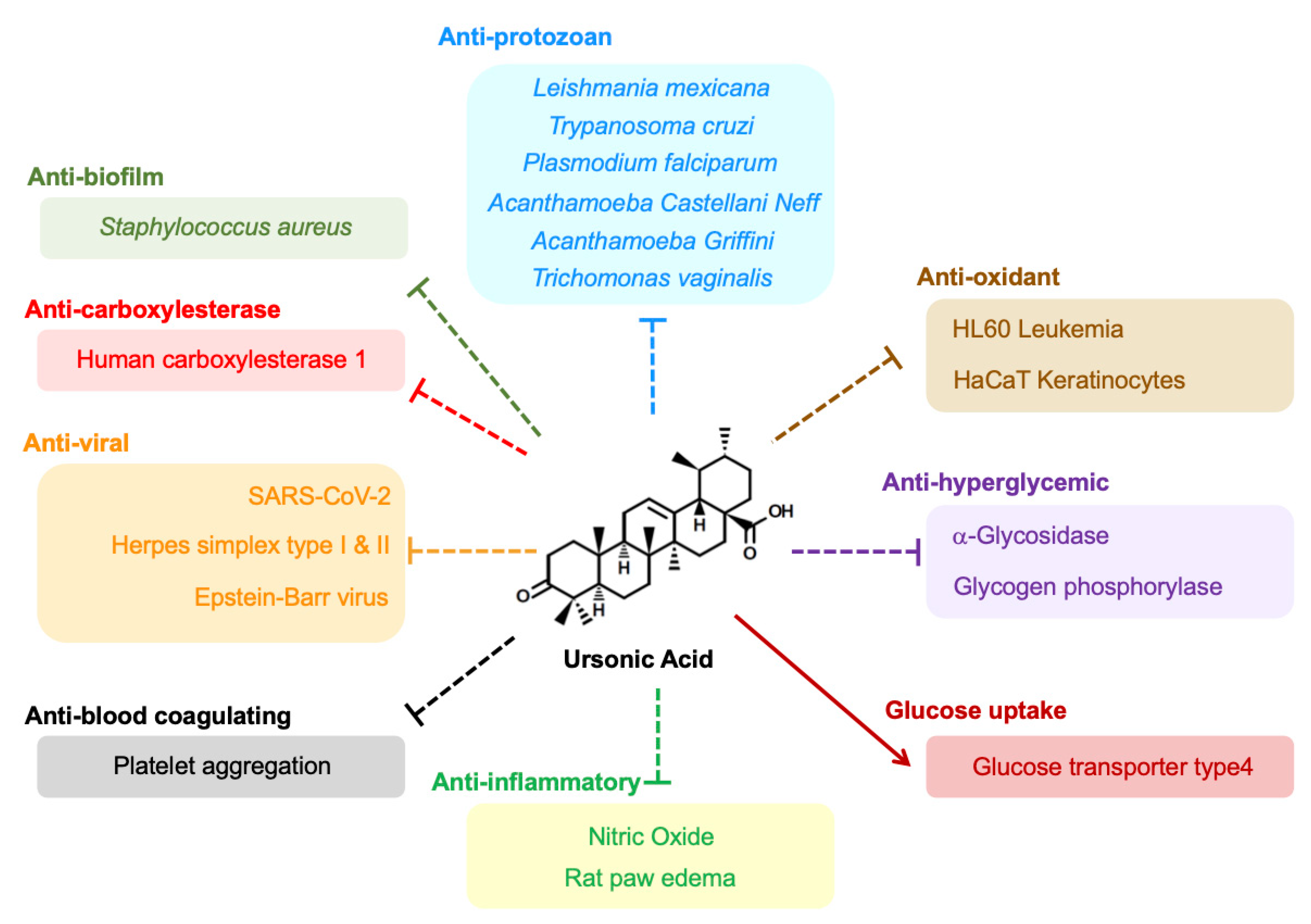 Physical Performance and Body Composition Benefits Physical Performance and Body Composition Benefits