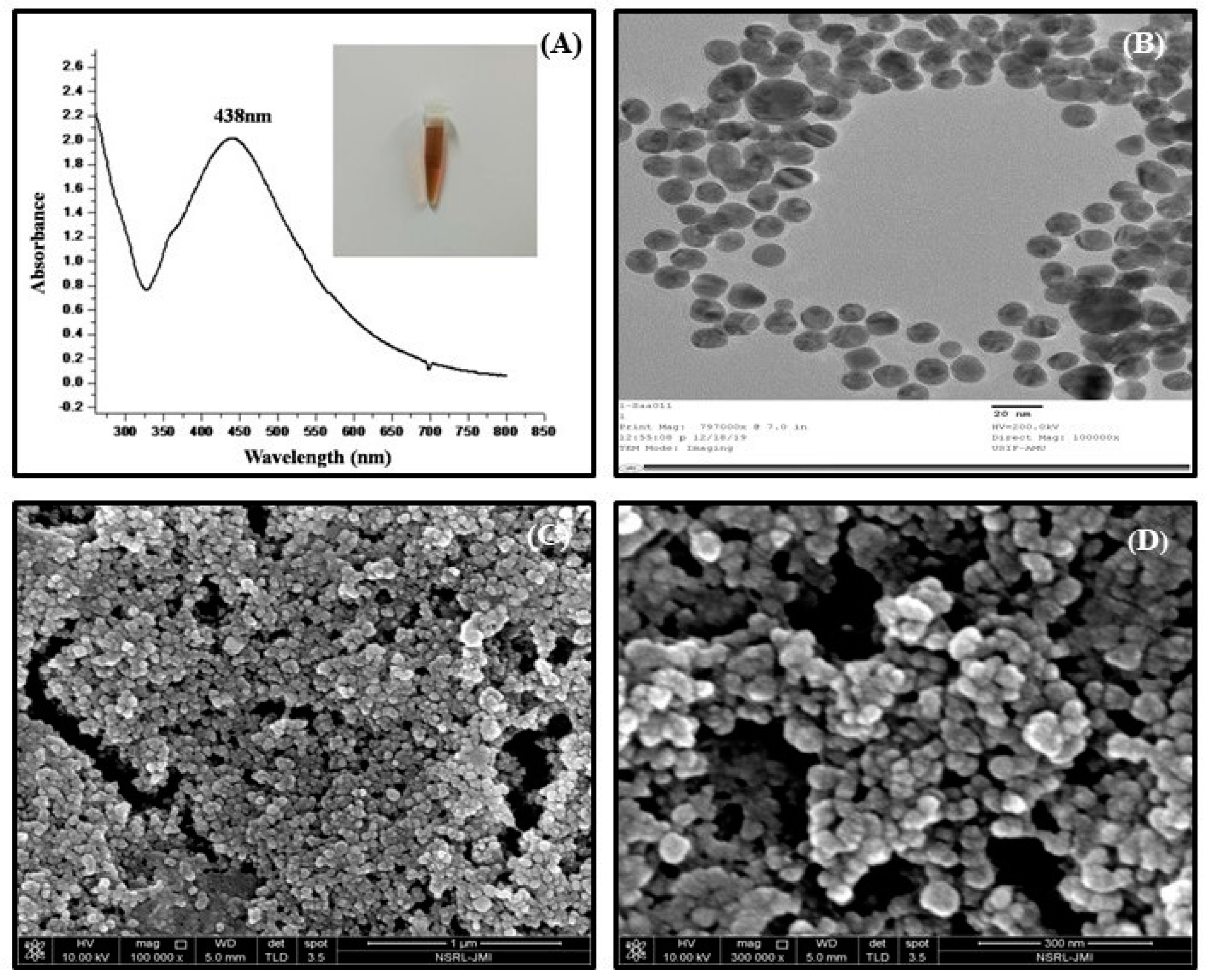 Biomolecules 10 01506 g001 Biomolecules 10 01506 g001