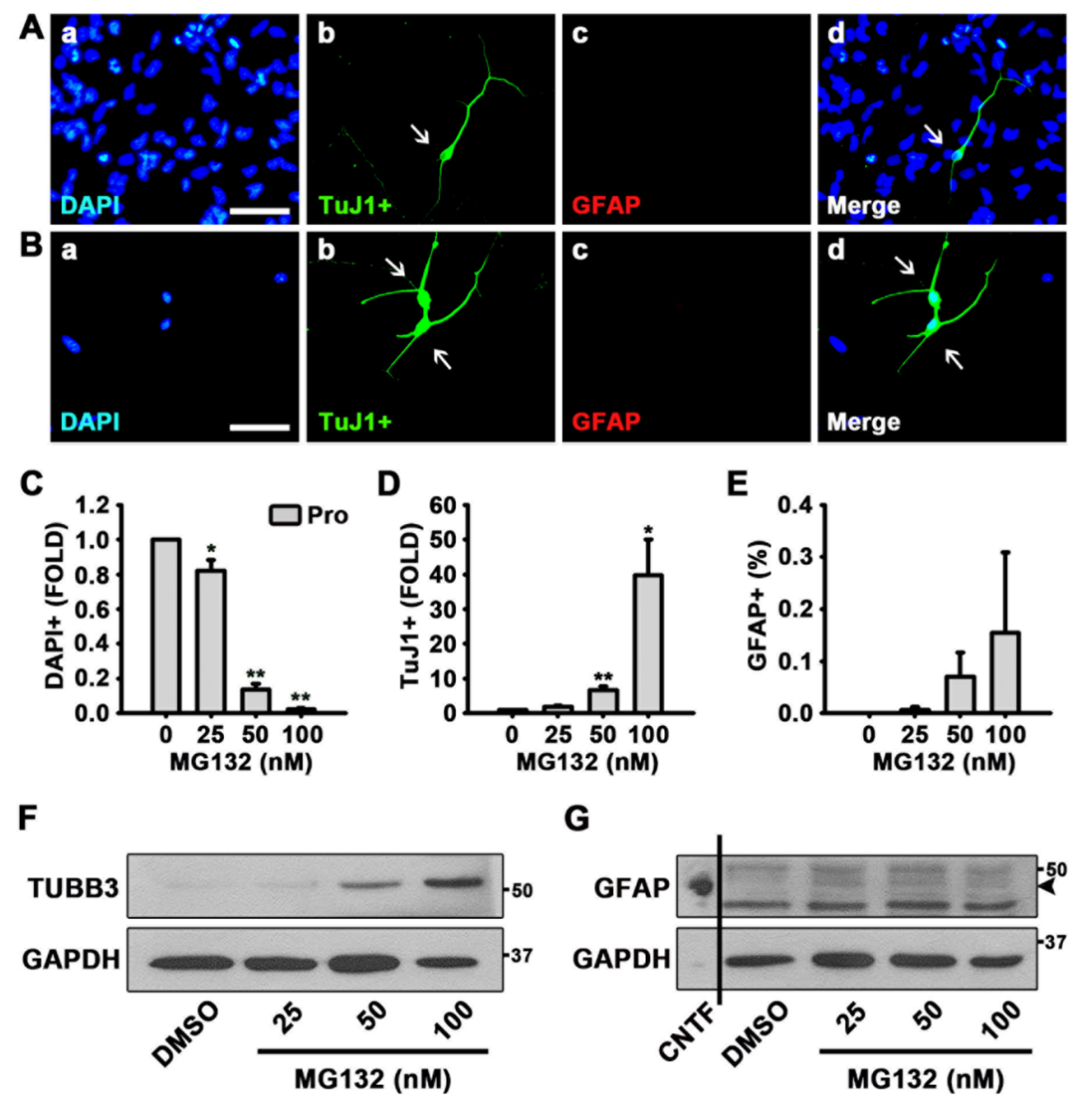Biomolecules 10 01507 g001 Biomolecules 10 01507 g001
