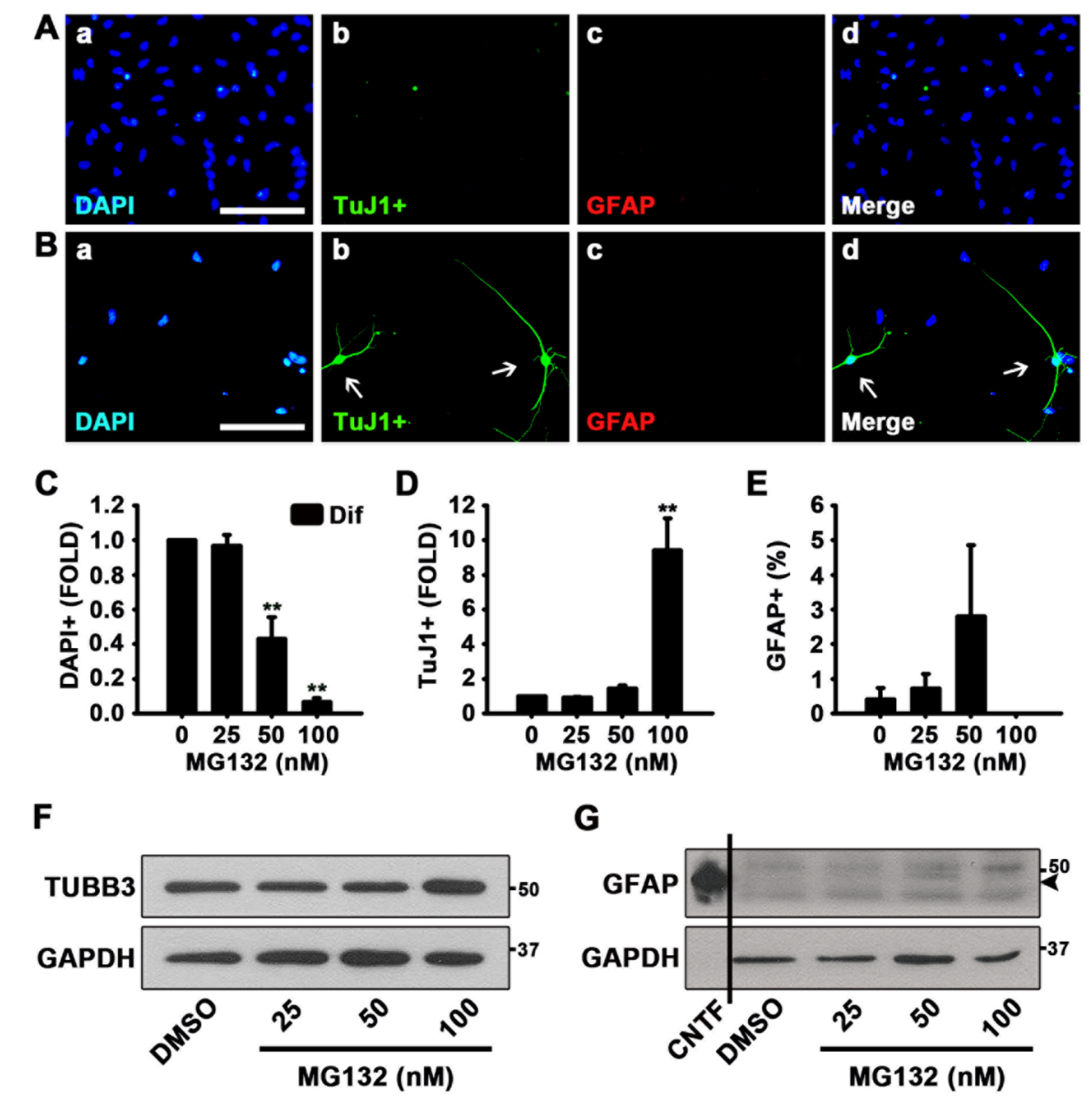 Biomolecules 10 01507 g002 Biomolecules 10 01507 g002