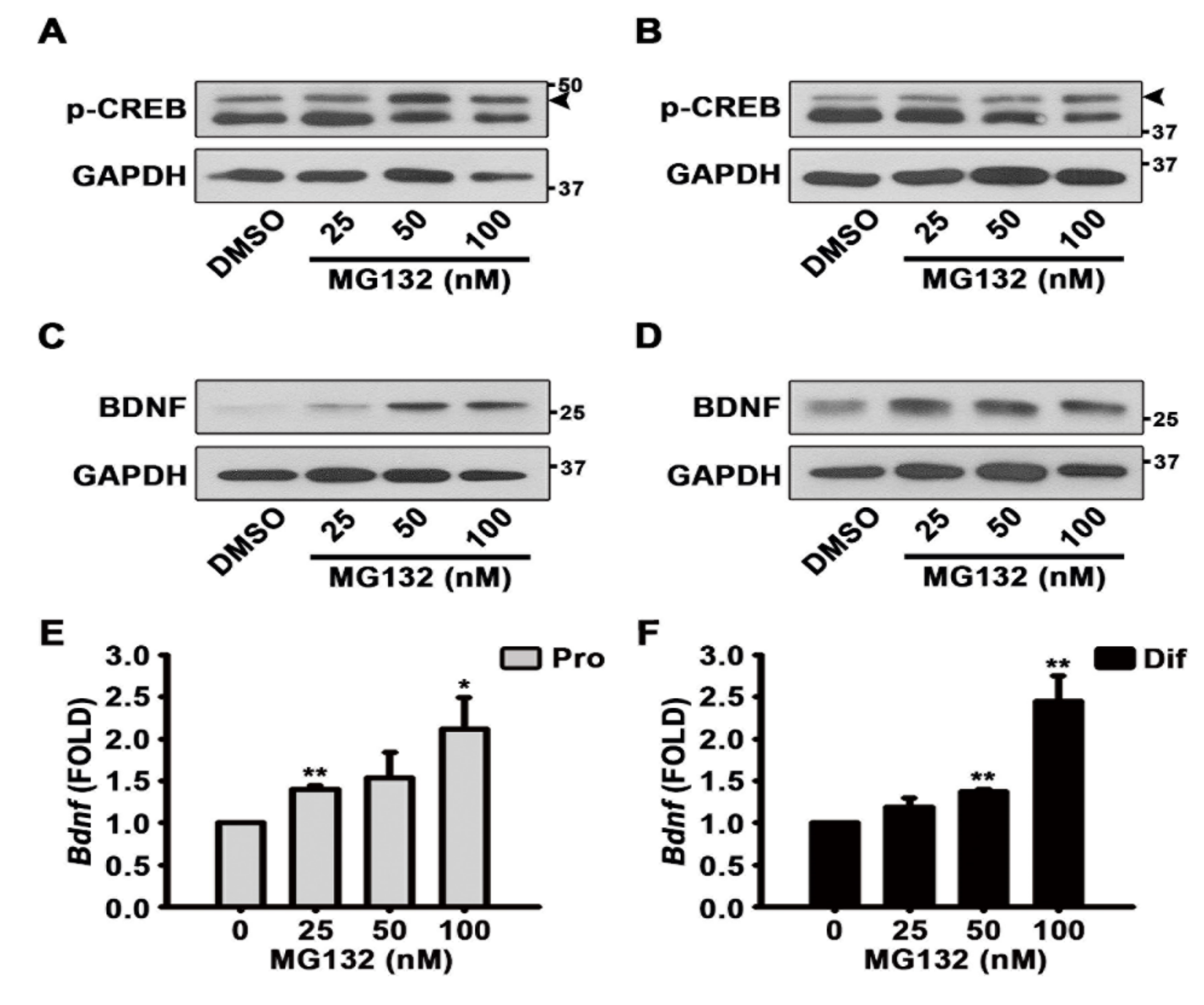 Biomolecules 10 01507 g006 Biomolecules 10 01507 g006