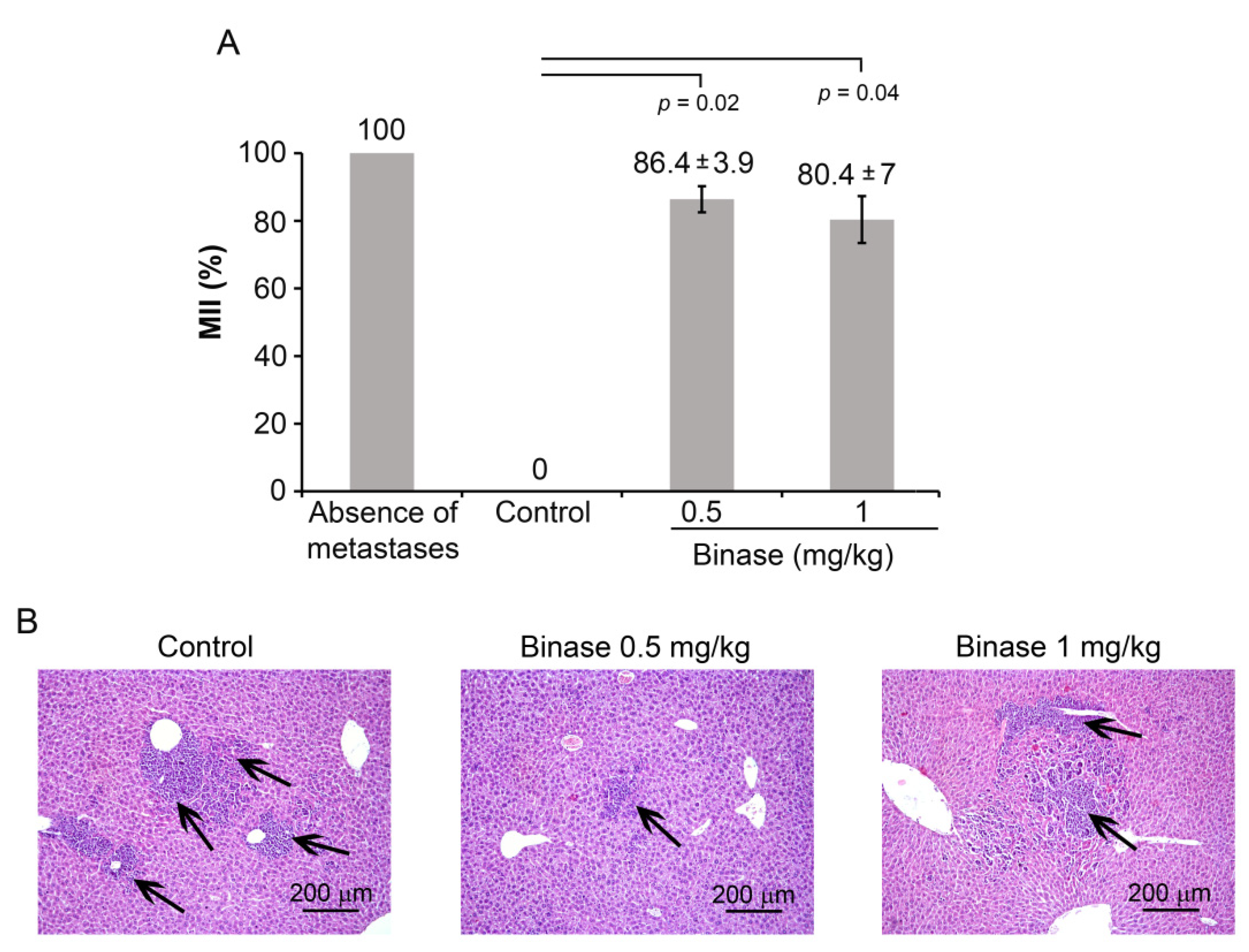 Biomolecules 10 01509 g003 Biomolecules 10 01509 g003