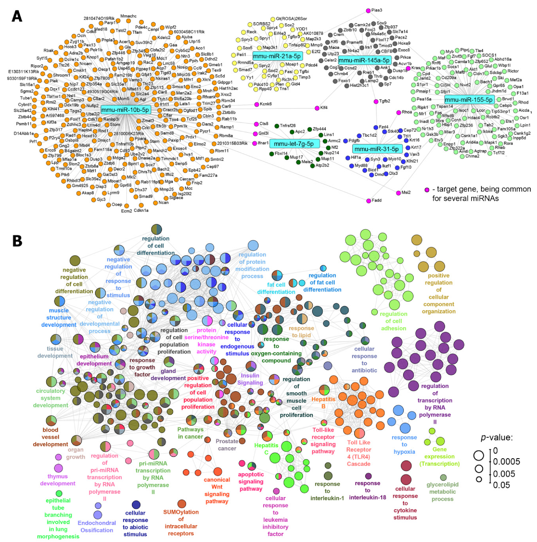 Biomolecules 10 01509 g006 Biomolecules 10 01509 g006