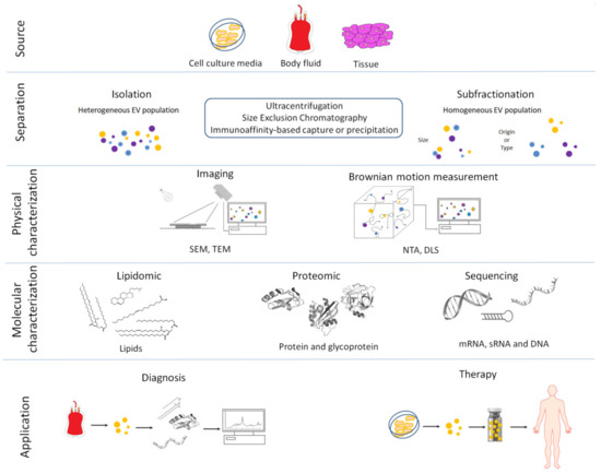 Biomolecules 10 01510 g001 550