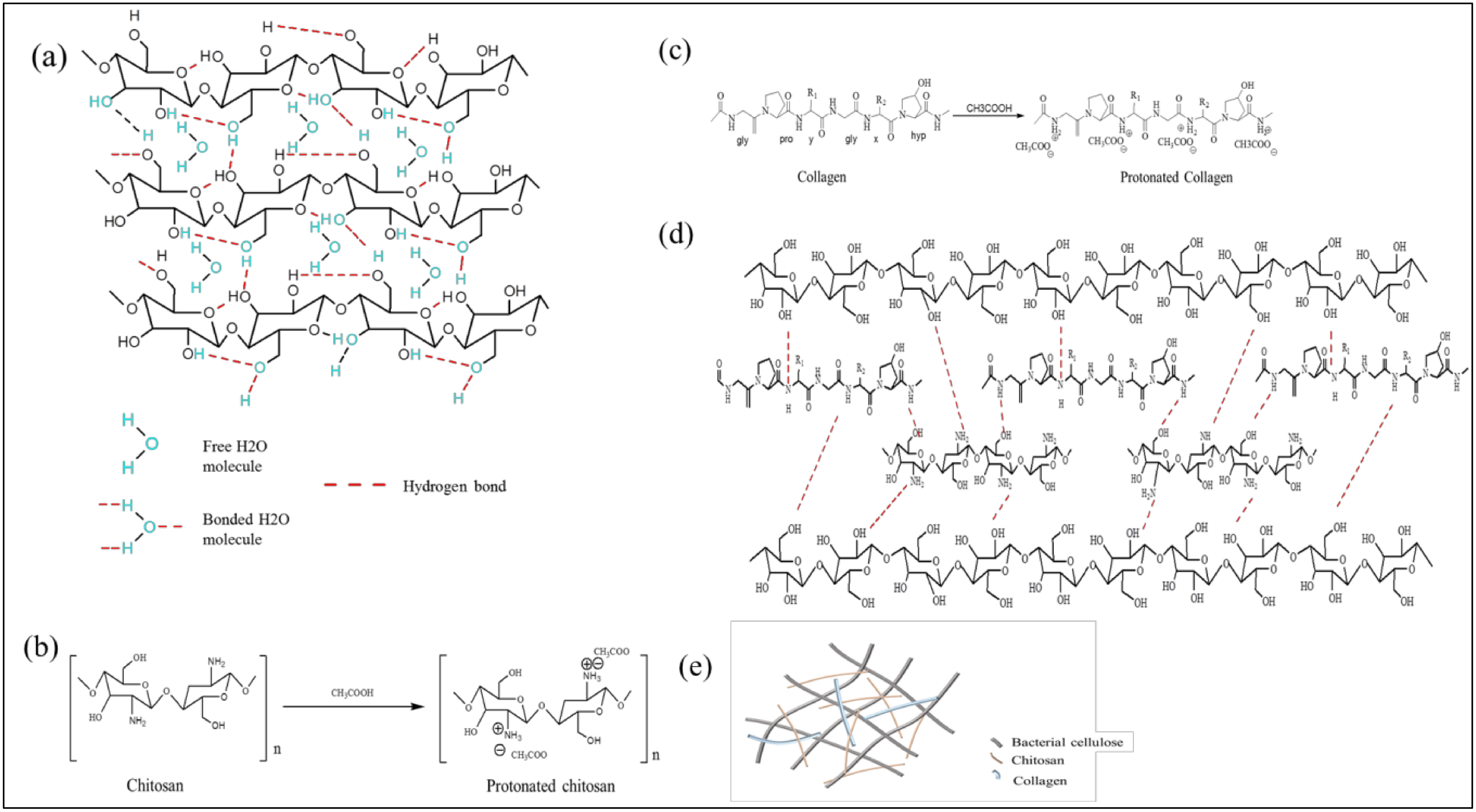 Biomolecules 10 01511 g003 Biomolecules 10 01511 g003
