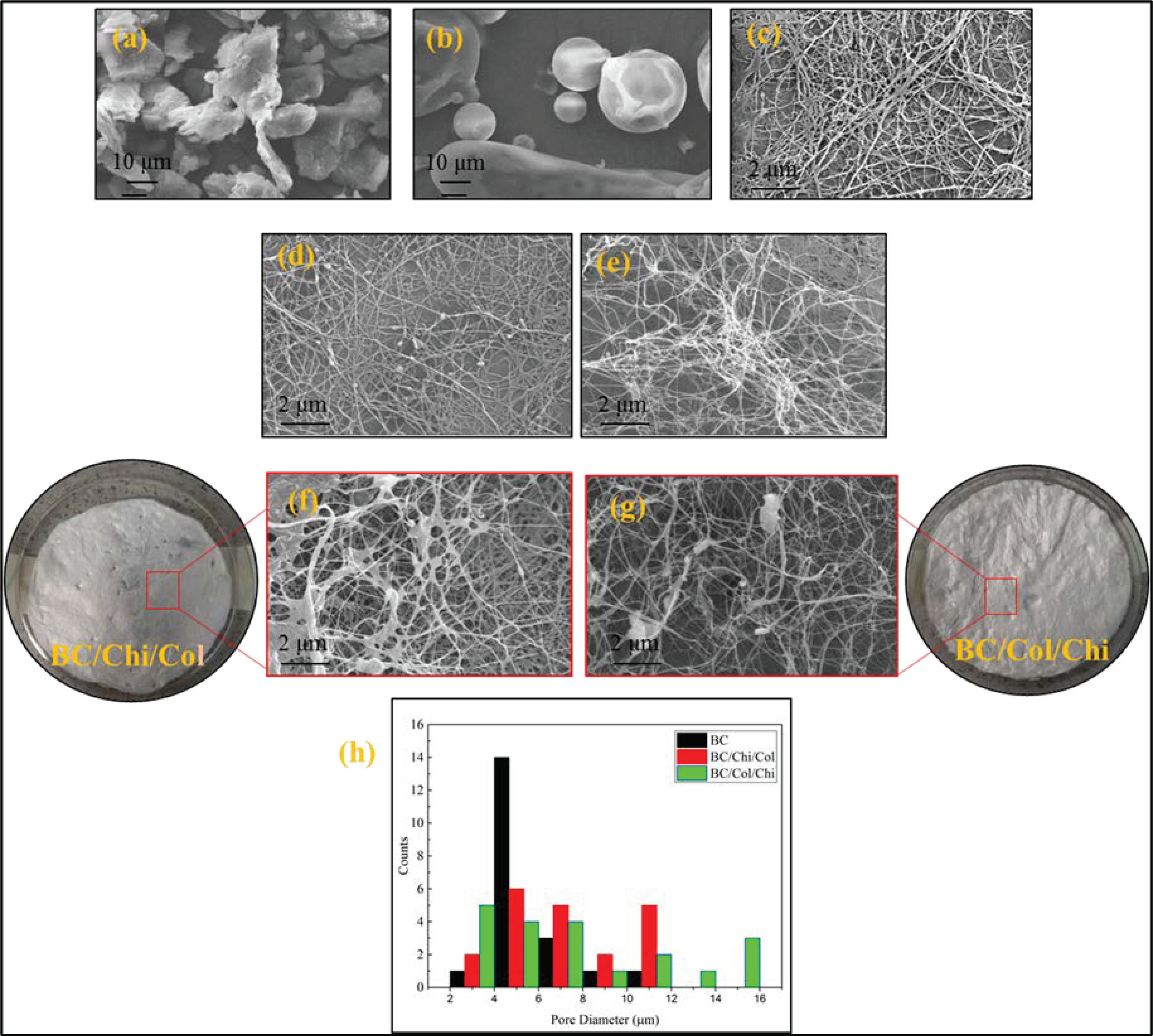 Biomolecules 10 01511 g006 Biomolecules 10 01511 g006