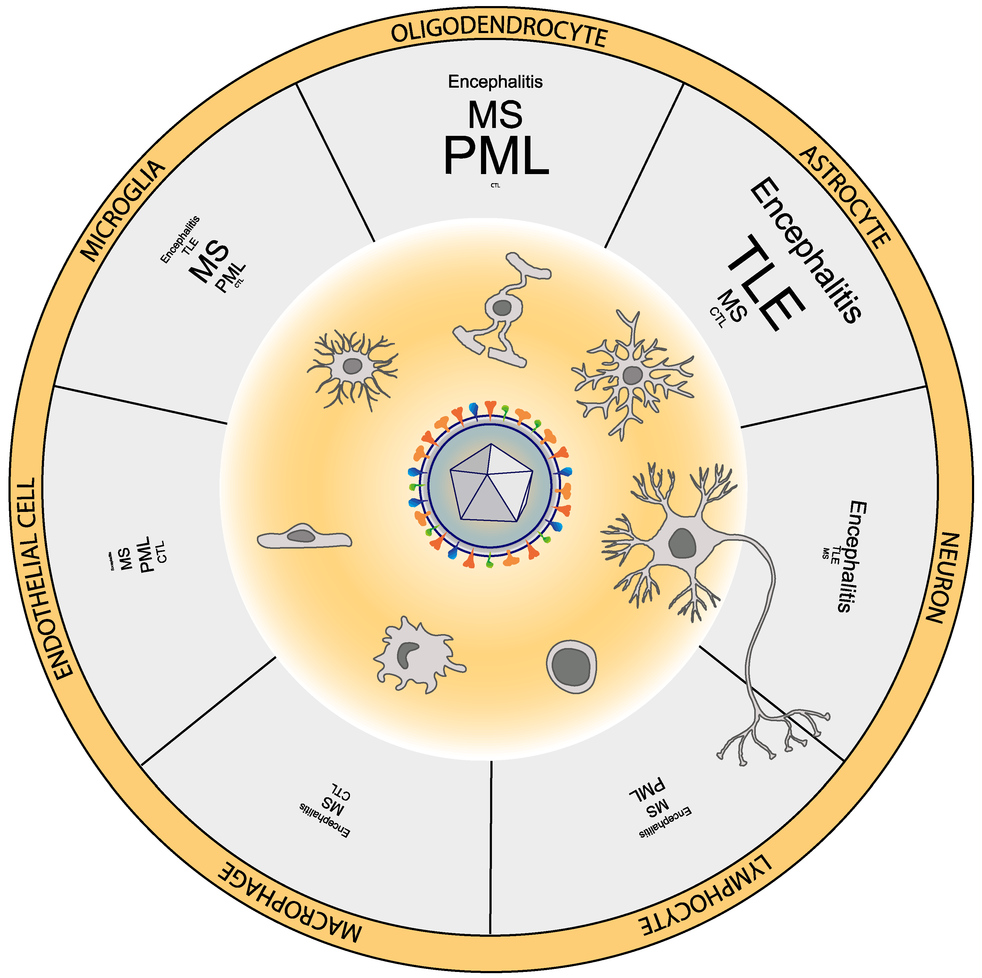 Biomolecules 10 01520 g001 Biomolecules 10 01520 g001