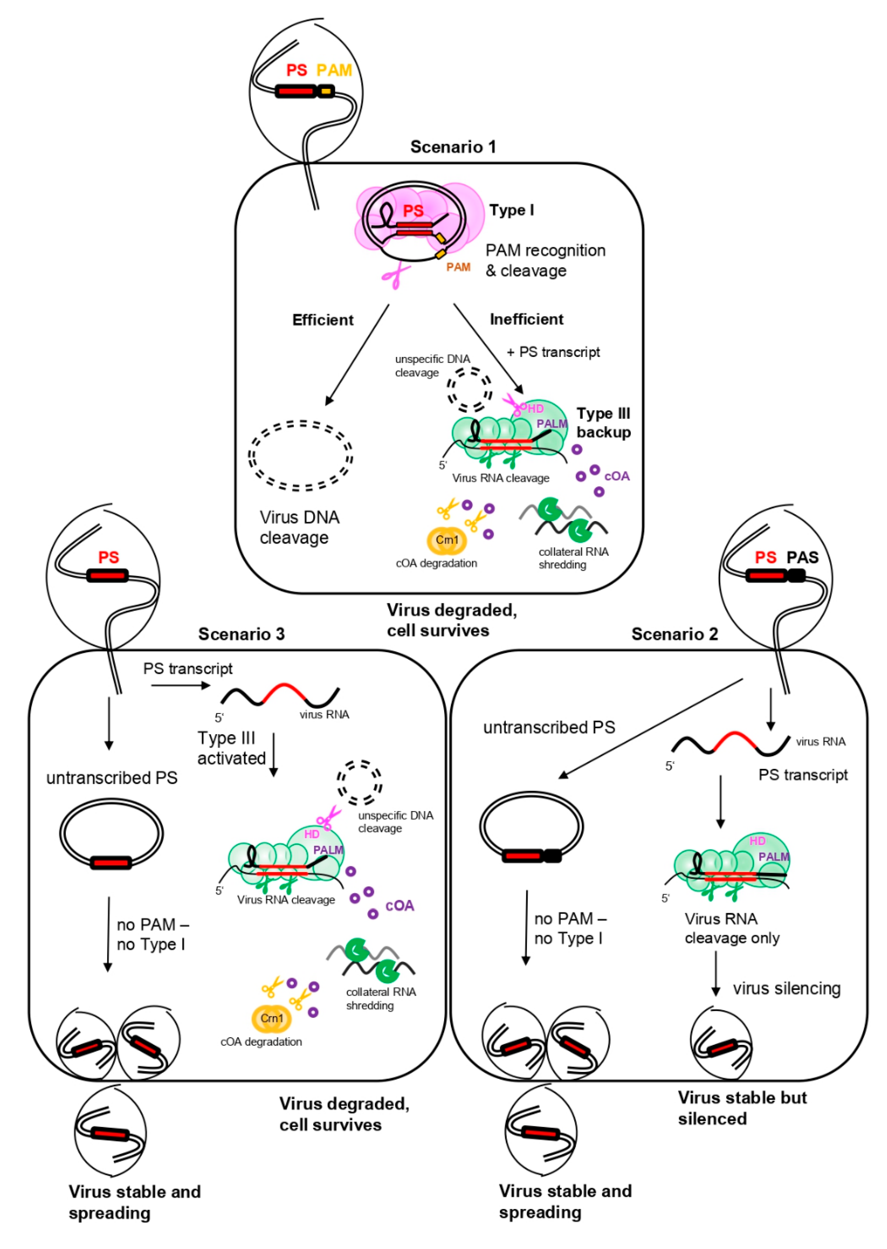 Biomolecules 10 01523 g006