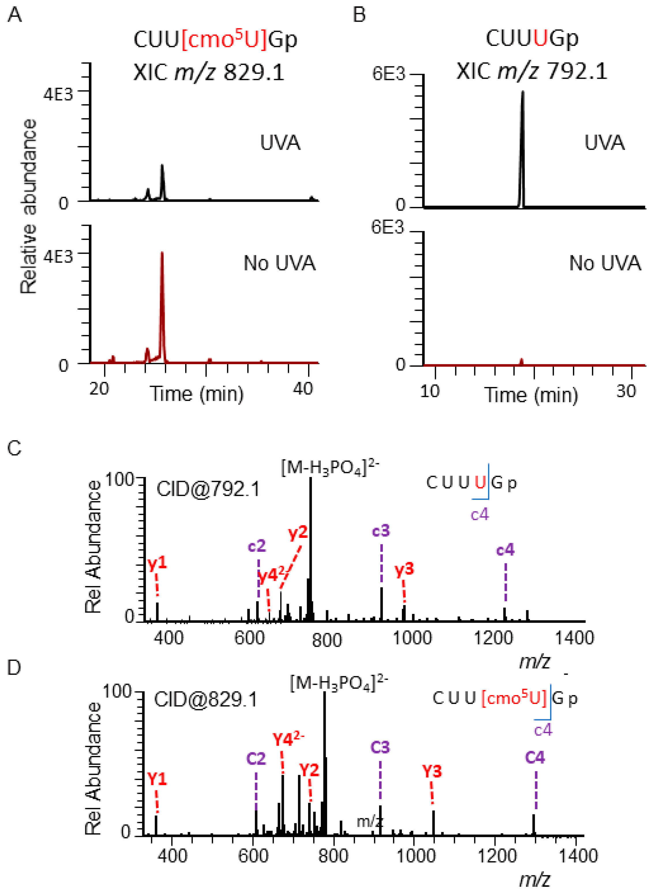 Biomolecules 10 01527 g005 Biomolecules 10 01527 g005
