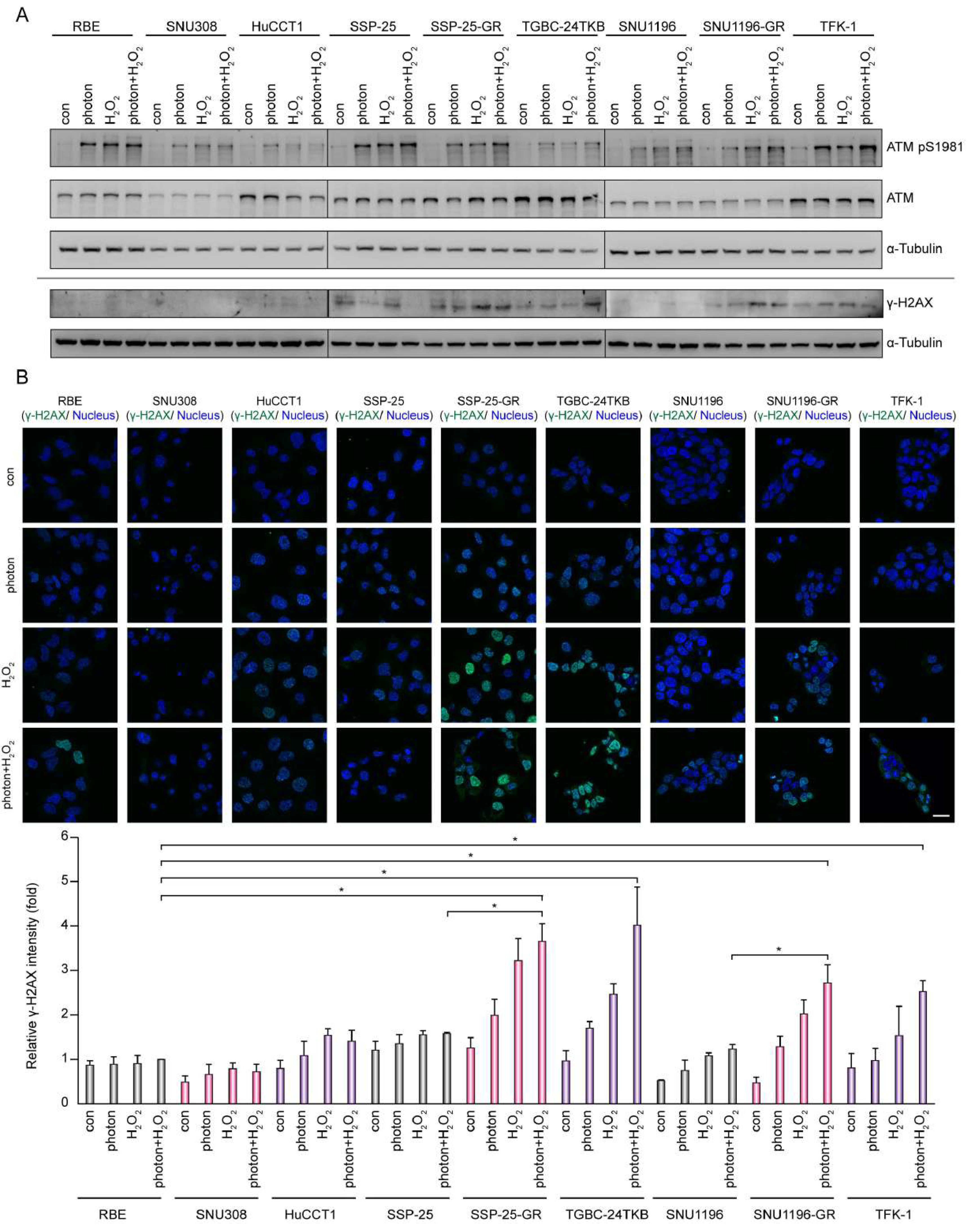Biomolecules 10 01529 g003
