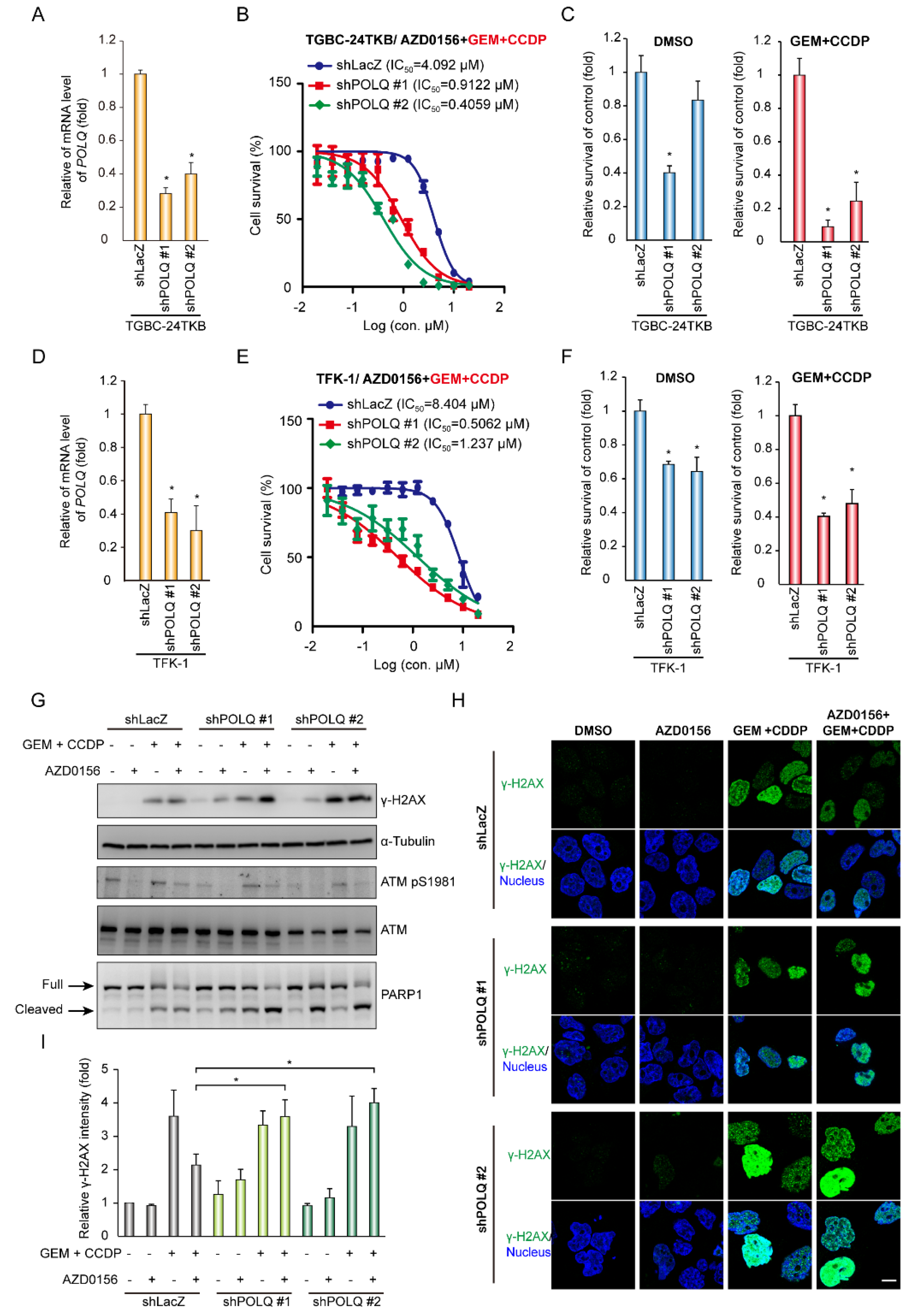 Biomolecules 10 01529 g006