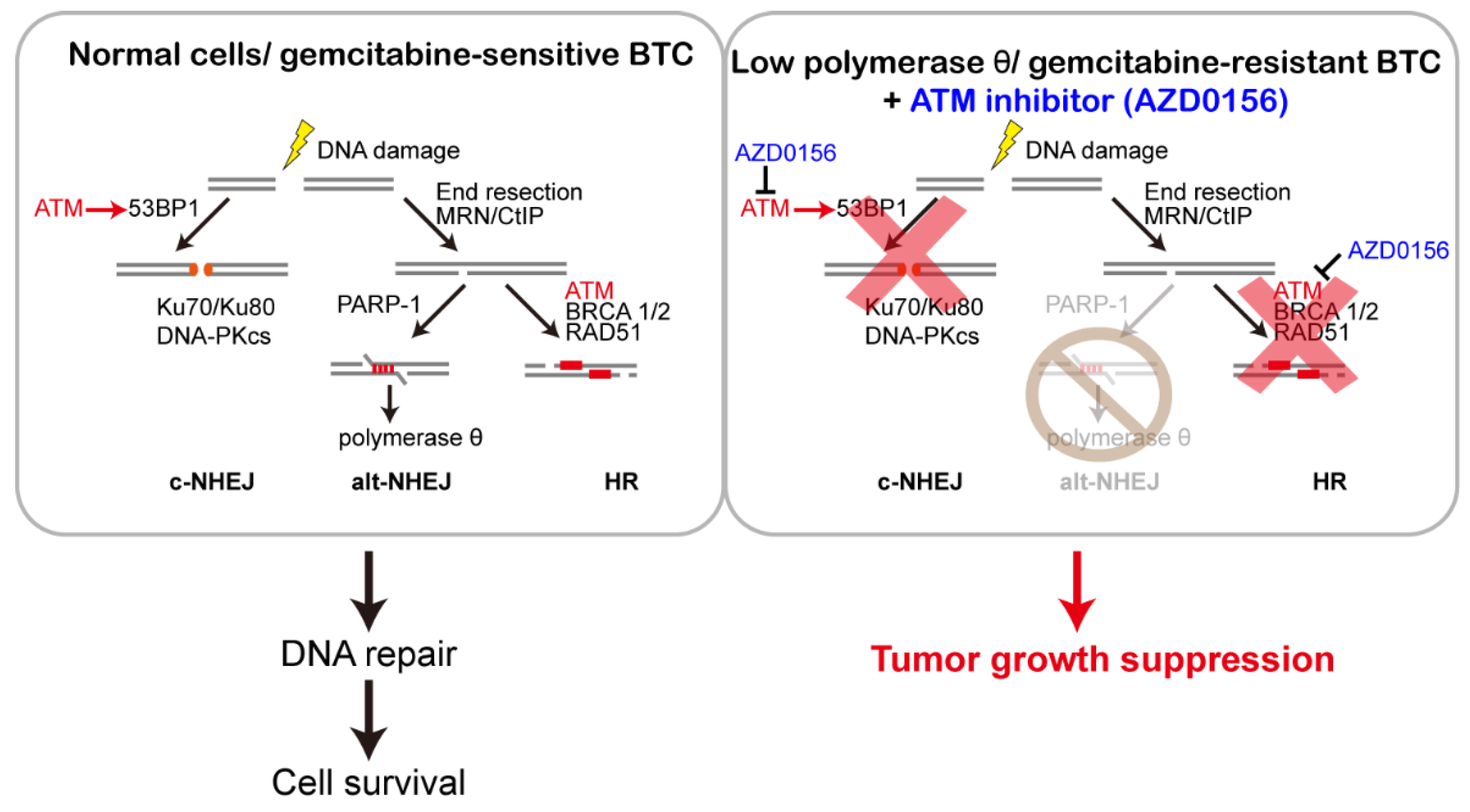 Biomolecules 10 01529 g008
