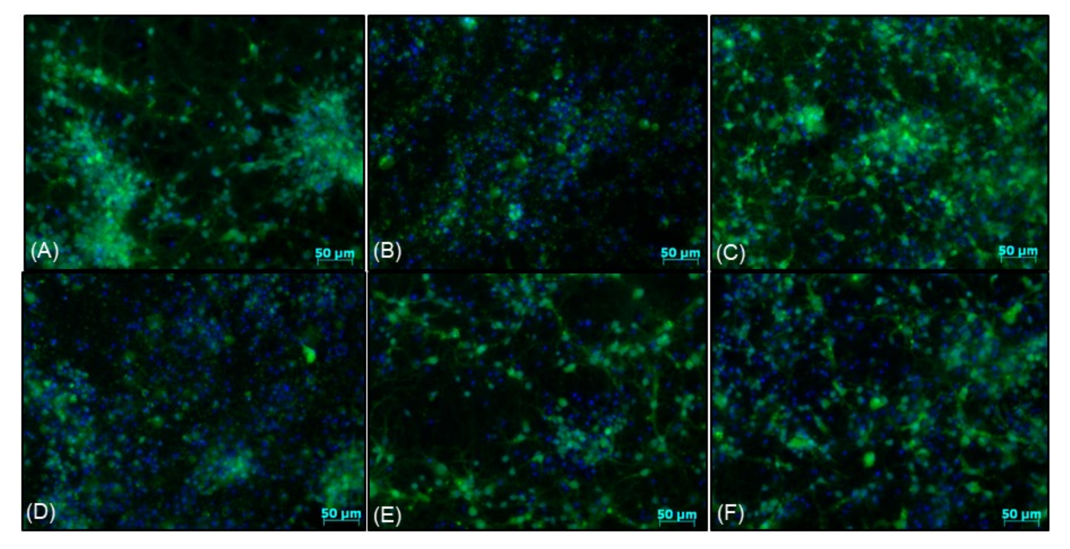 Biomolecules 10 01530 g010 Biomolecules 10 01530 g010