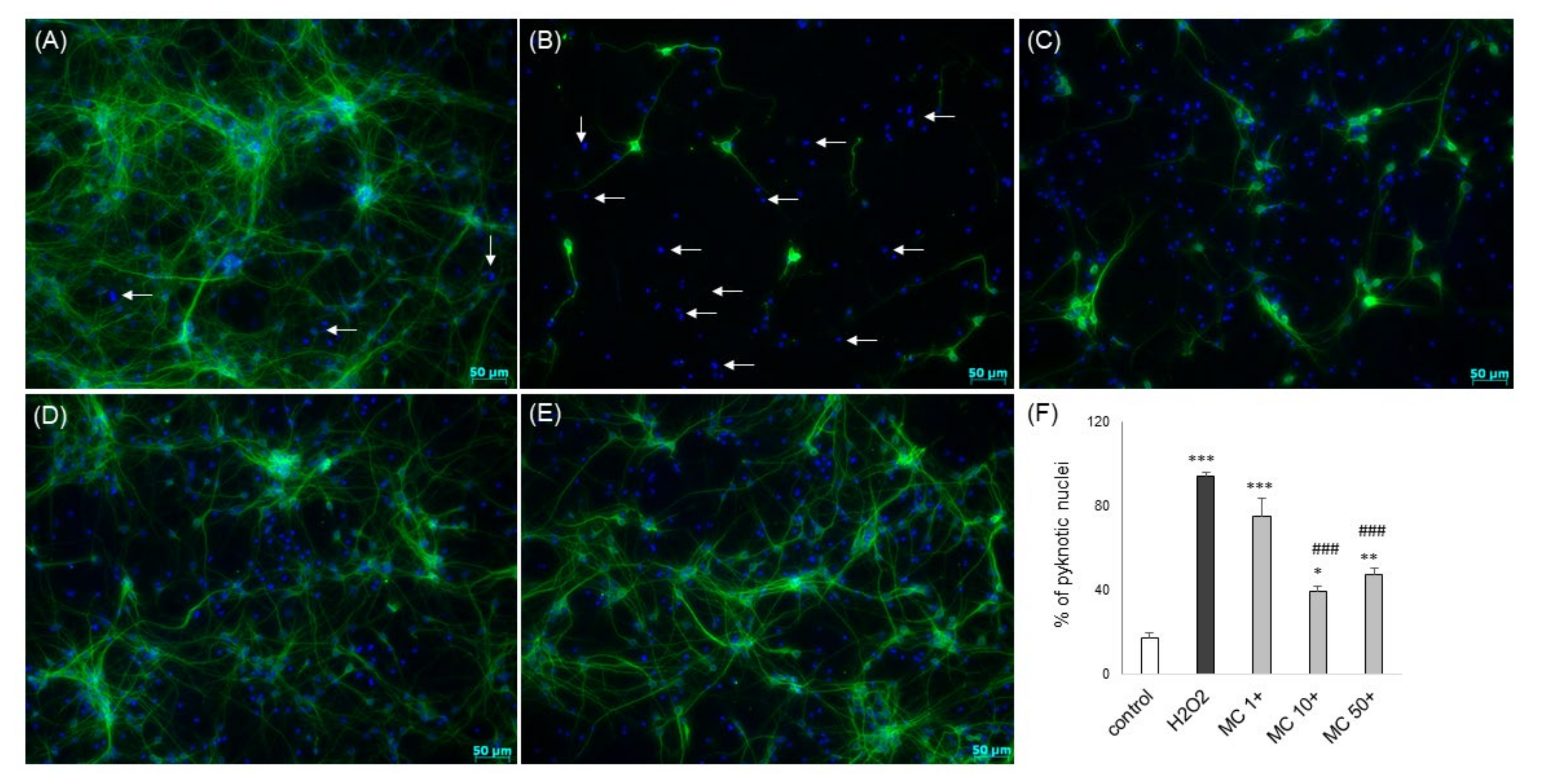 Biomolecules 10 01530 g011 Biomolecules 10 01530 g011