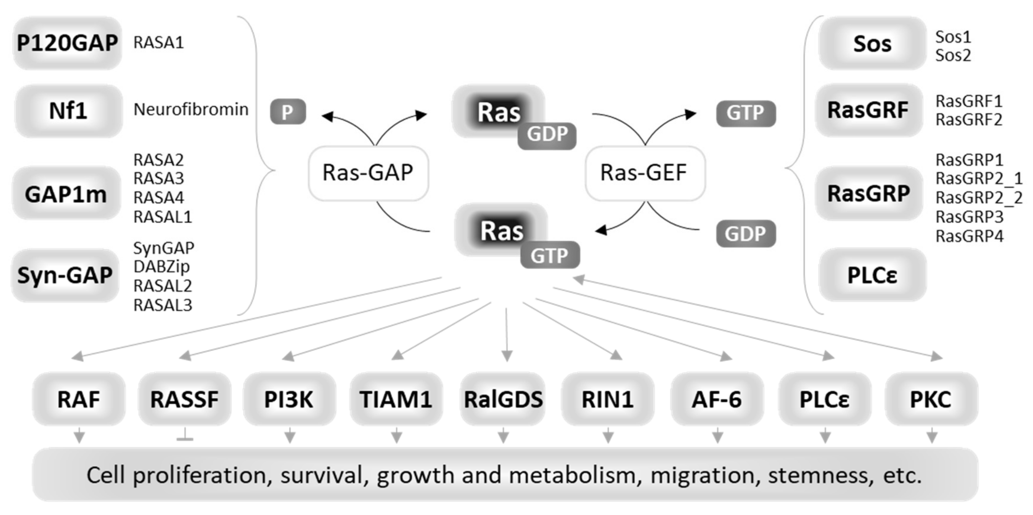 Biomolecules 10 01535 g001