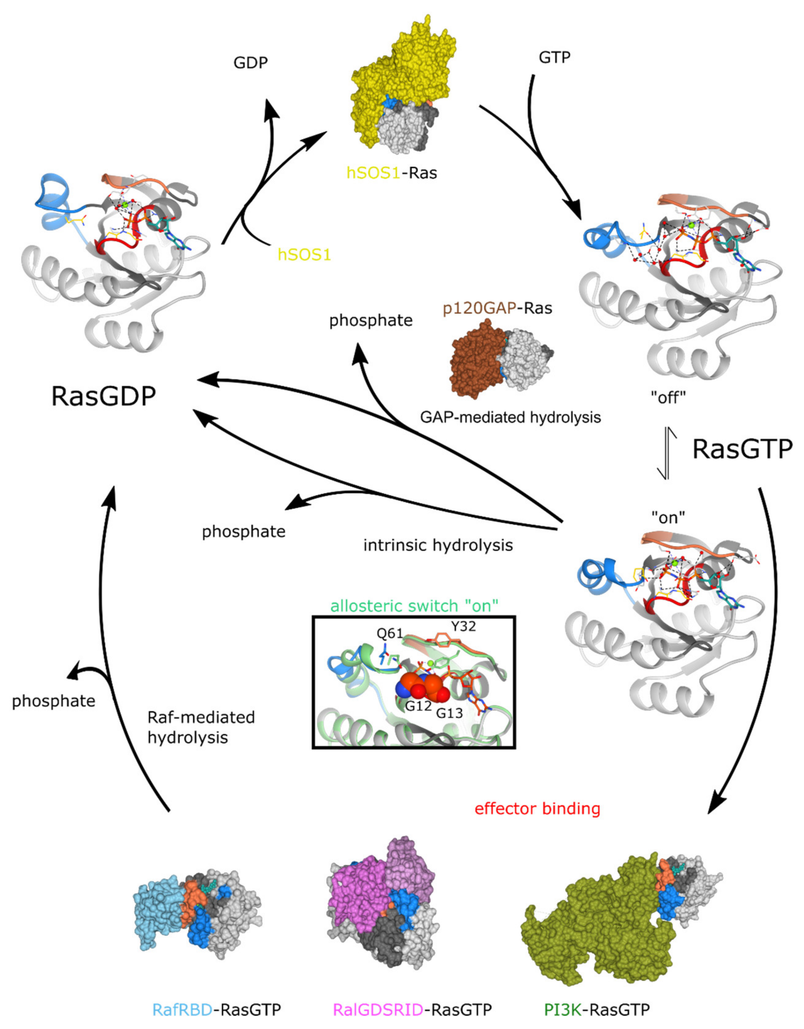 Biomolecules 10 01535 g003
