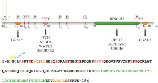 Biomolecules 10 01538 g001 550