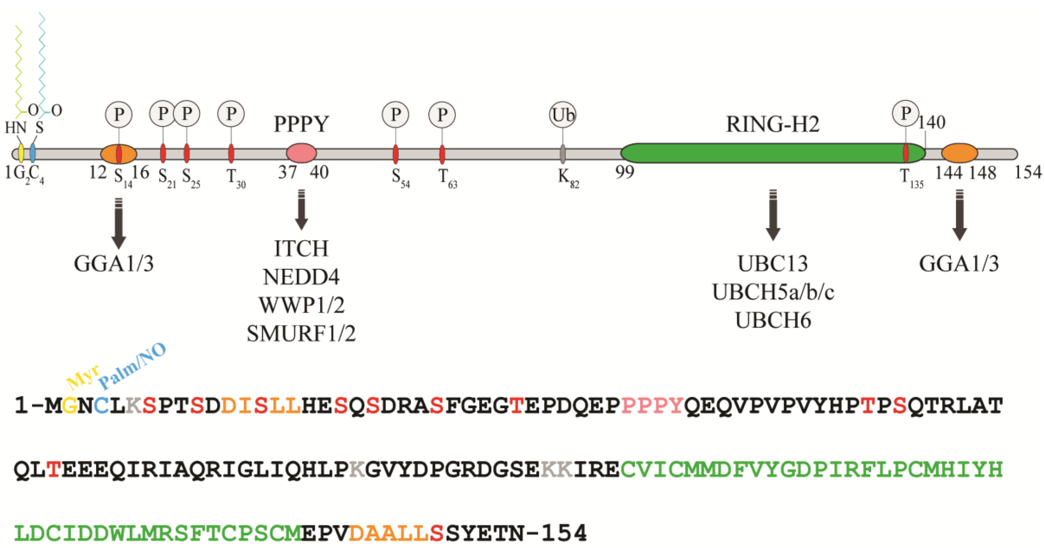 Biomolecules 10 01538 g001
