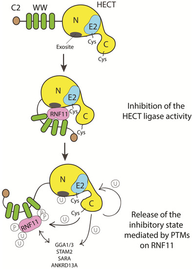 Biomolecules 10 01538 g005 550