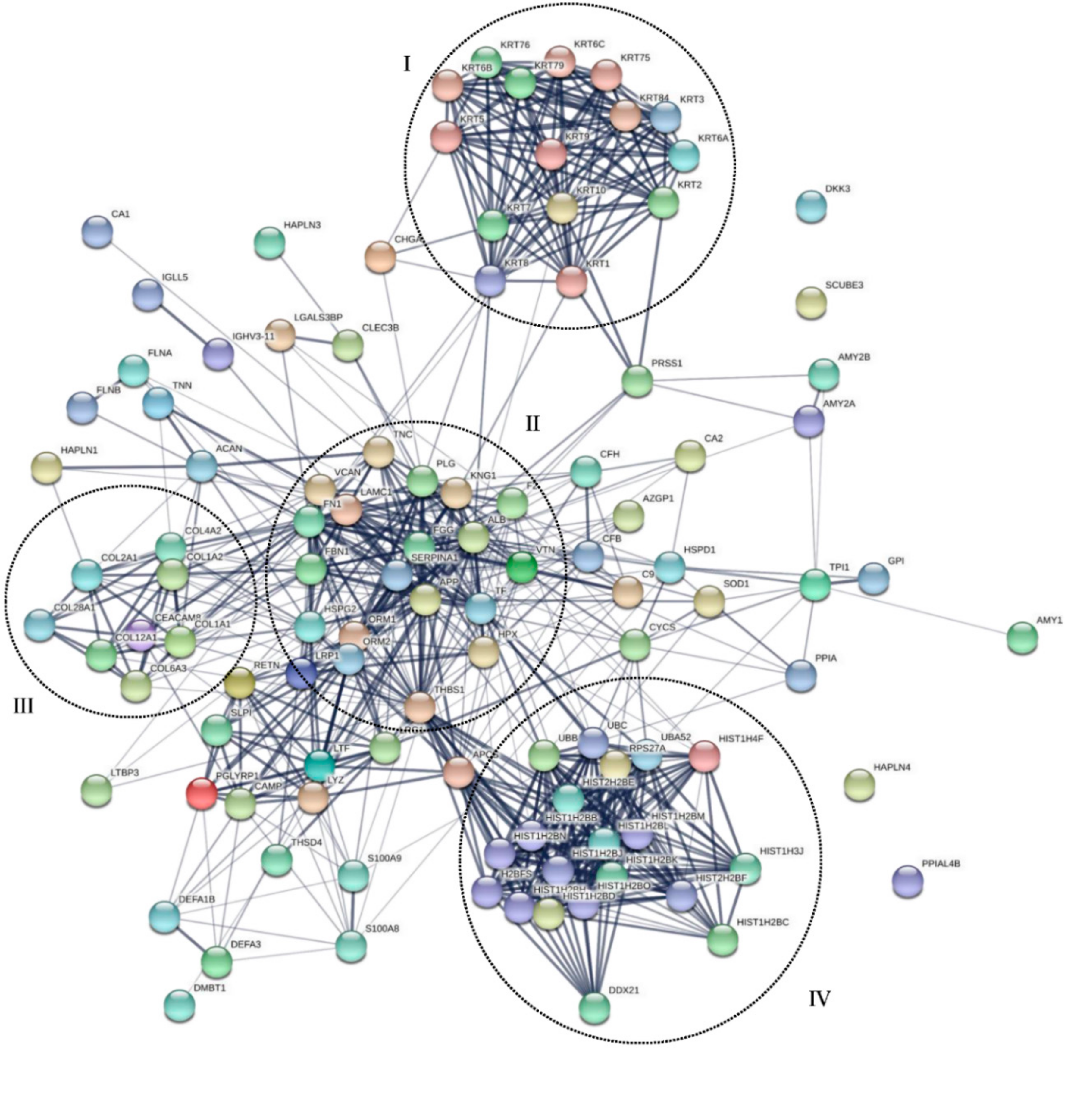 Biomolecules 10 01540 g005 Biomolecules 10 01540 g005
