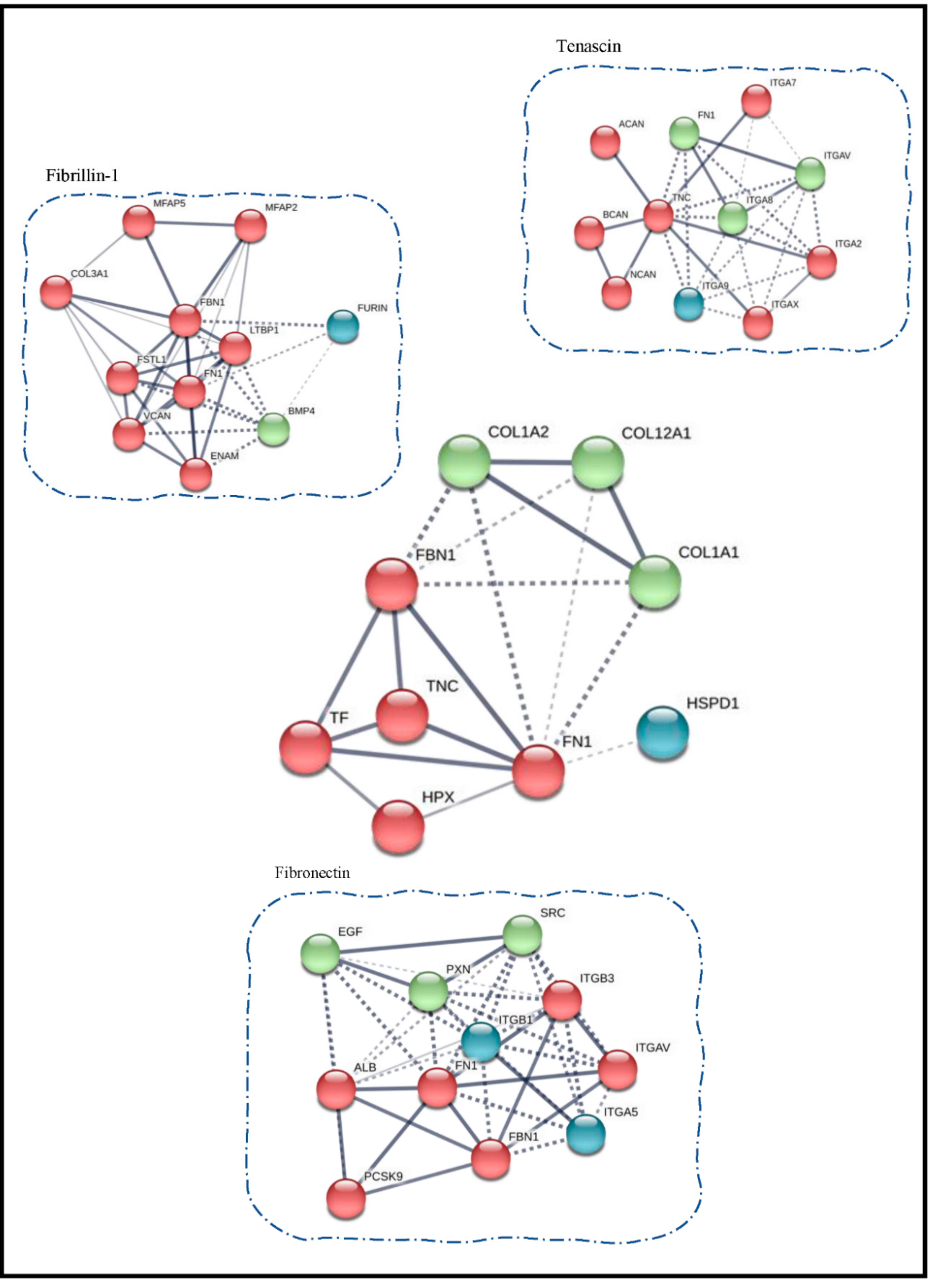 Biomolecules 10 01540 g006 Biomolecules 10 01540 g006
