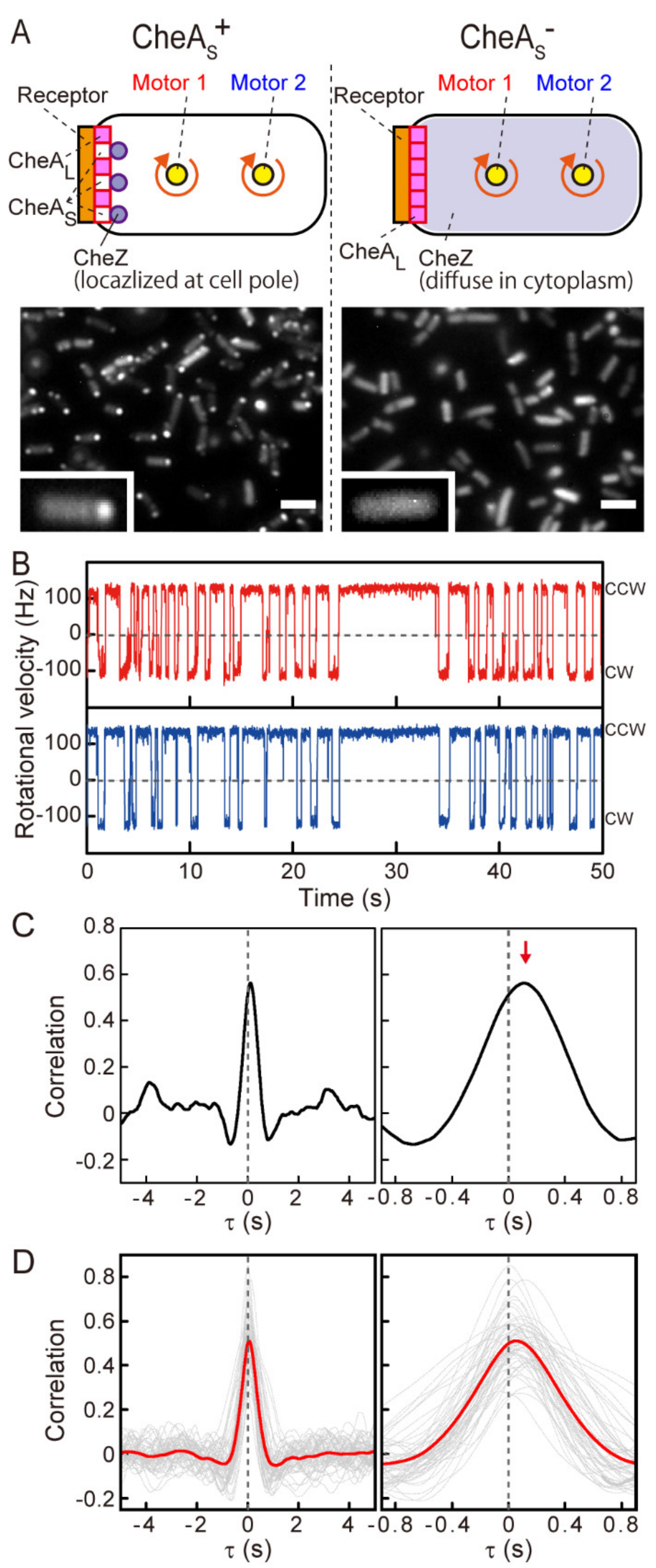 Biomolecules 10 01544 g002