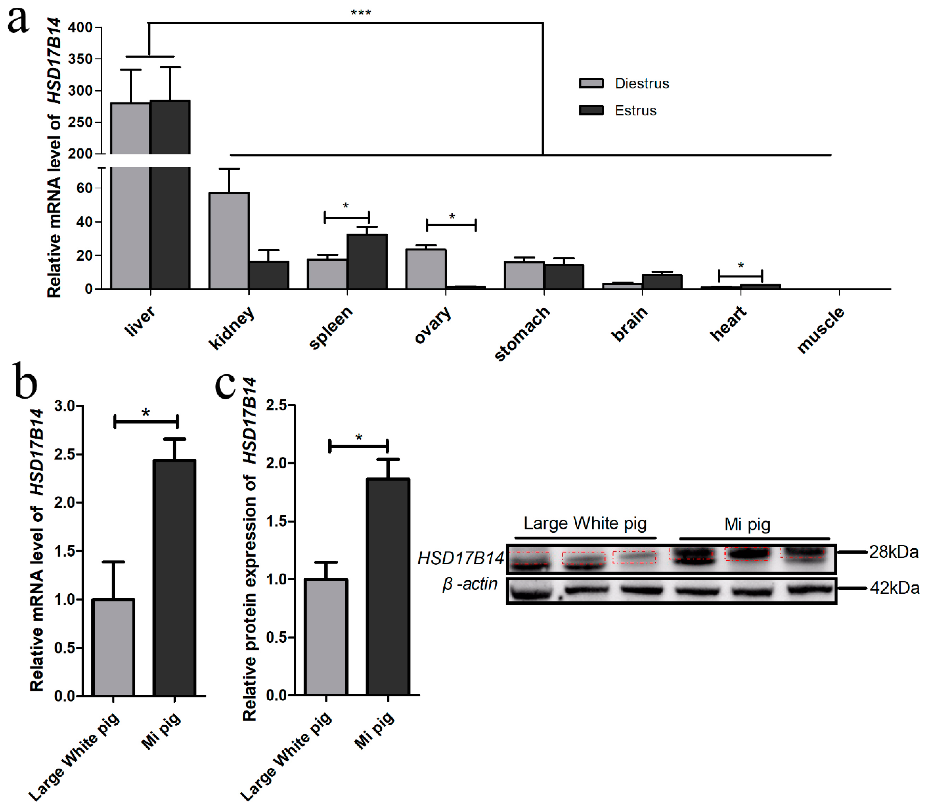 Biomolecules 10 01545 g001 Biomolecules 10 01545 g001