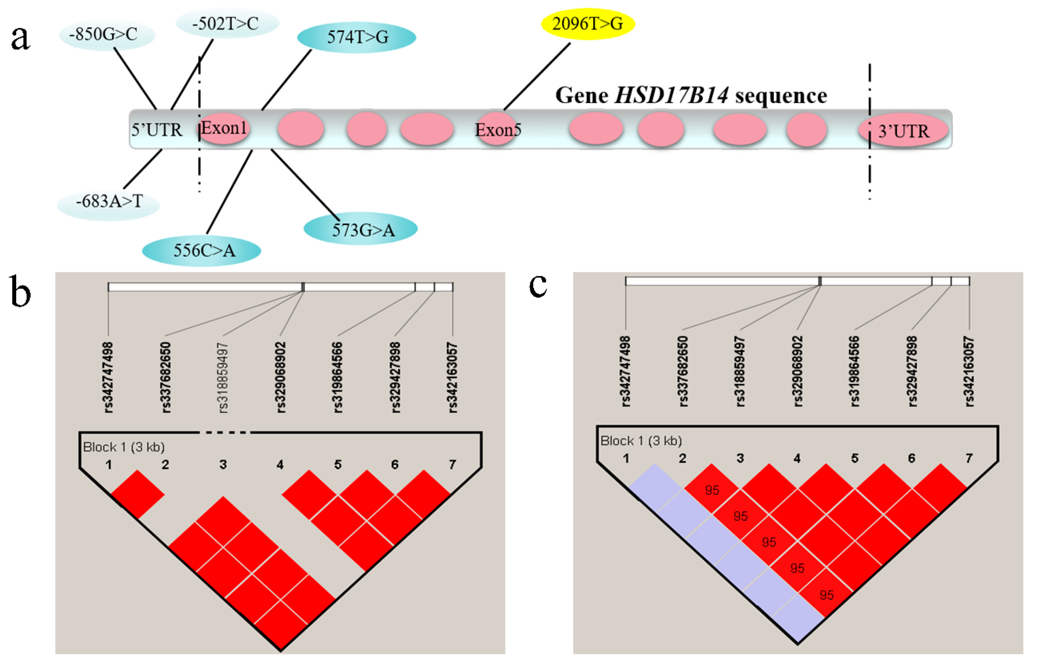 Biomolecules 10 01545 g002 Biomolecules 10 01545 g002