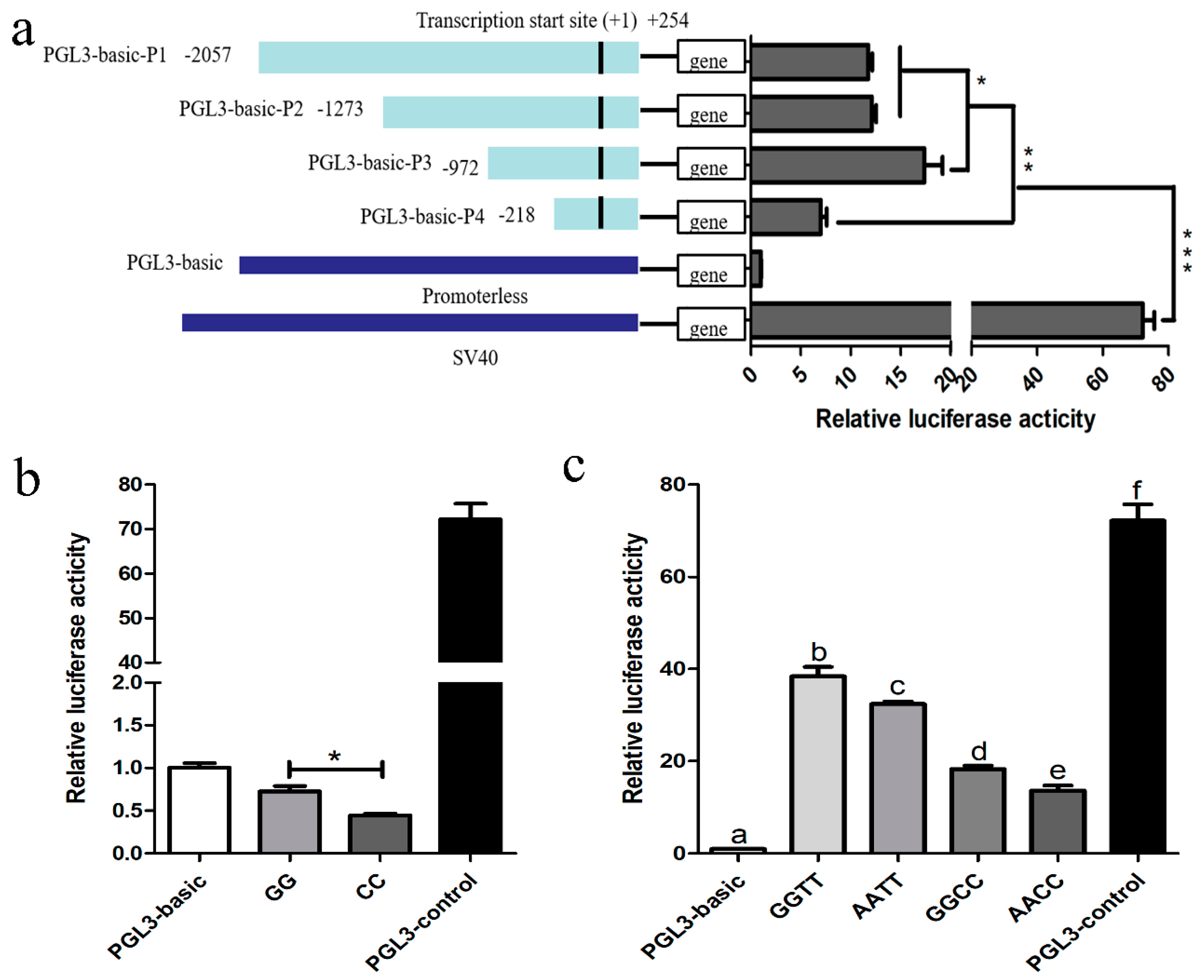 Biomolecules 10 01545 g003 Biomolecules 10 01545 g003