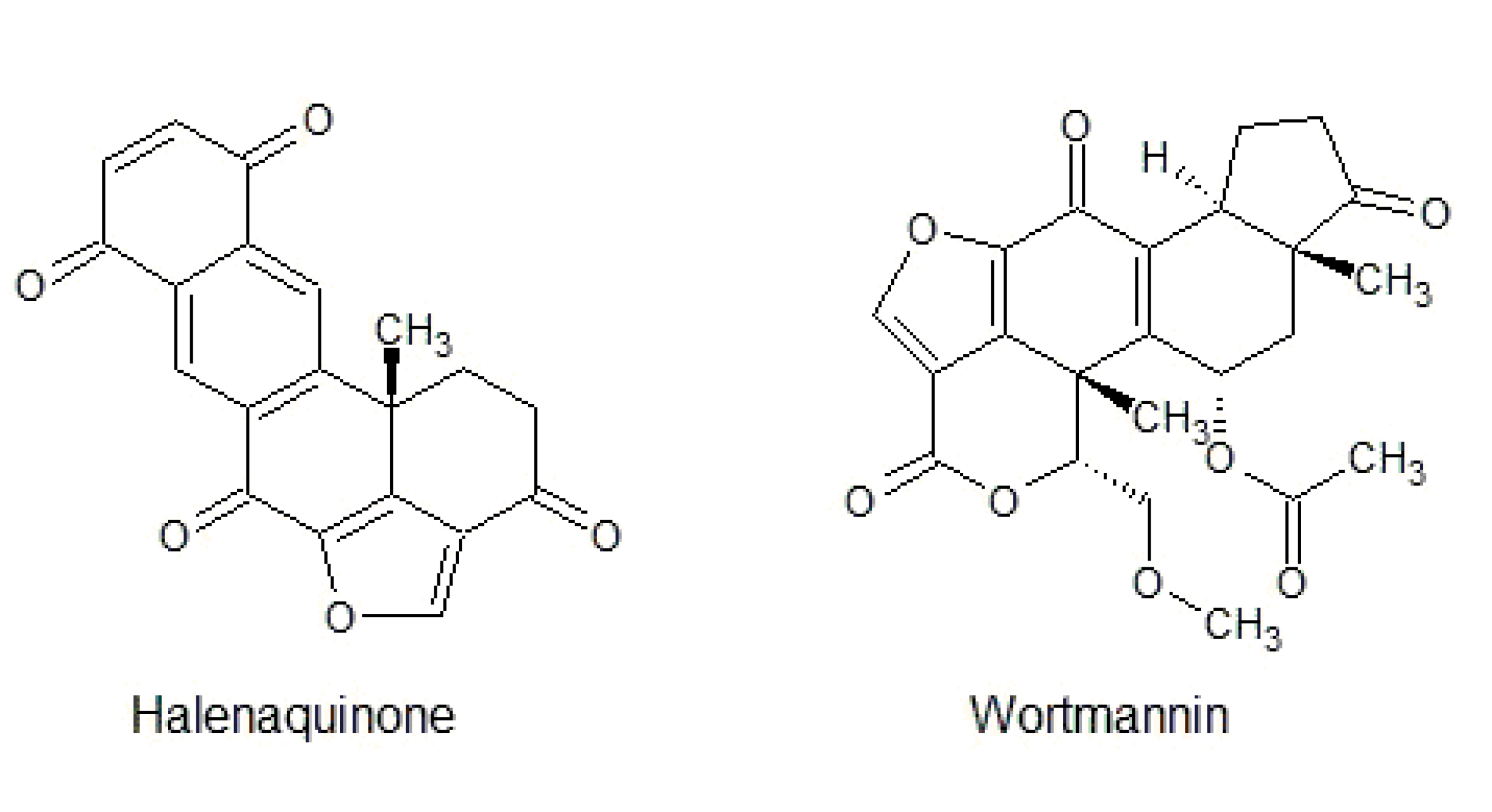 Biomolecules 10 01546 g010