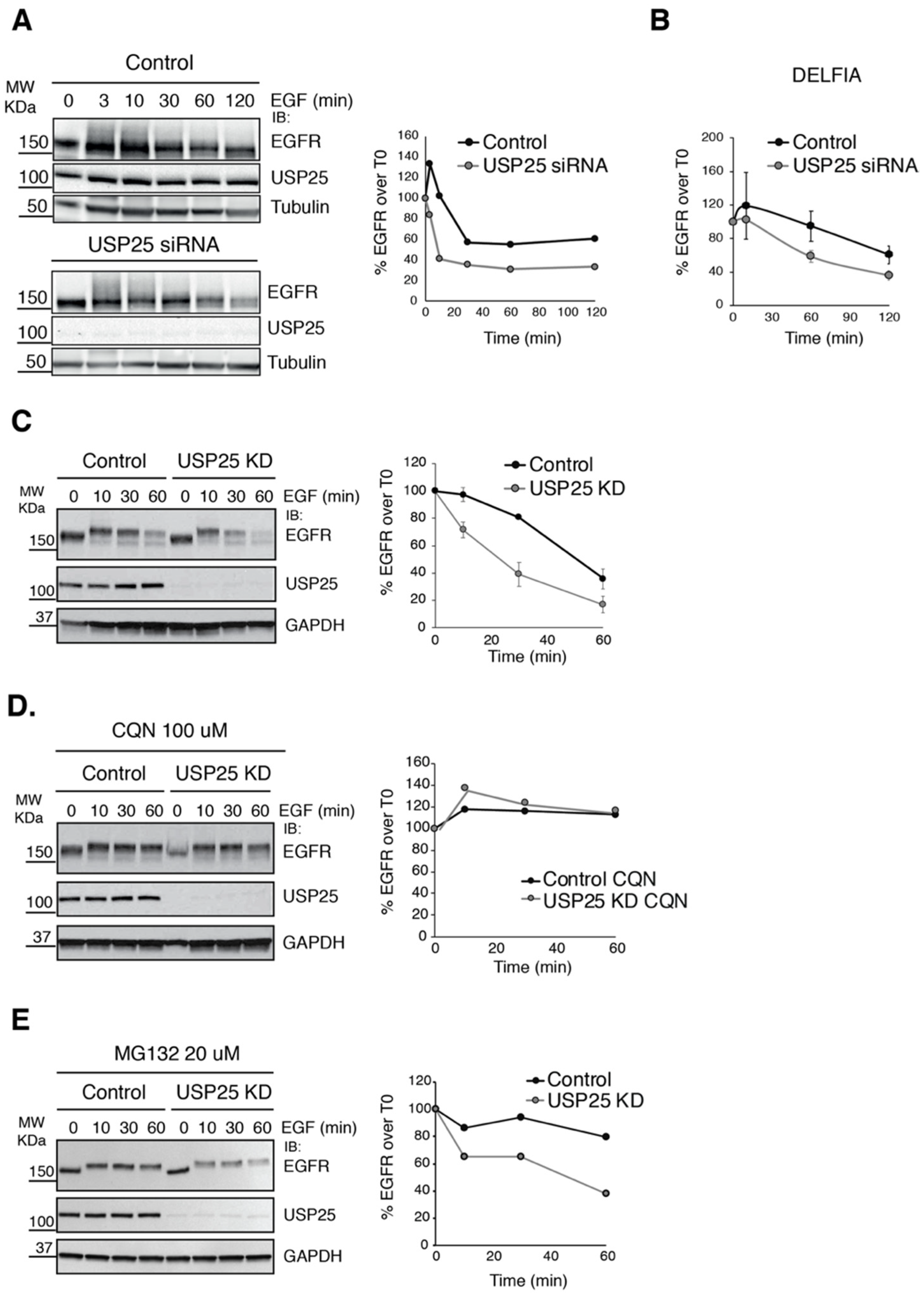 Biomolecules 10 01548 g001