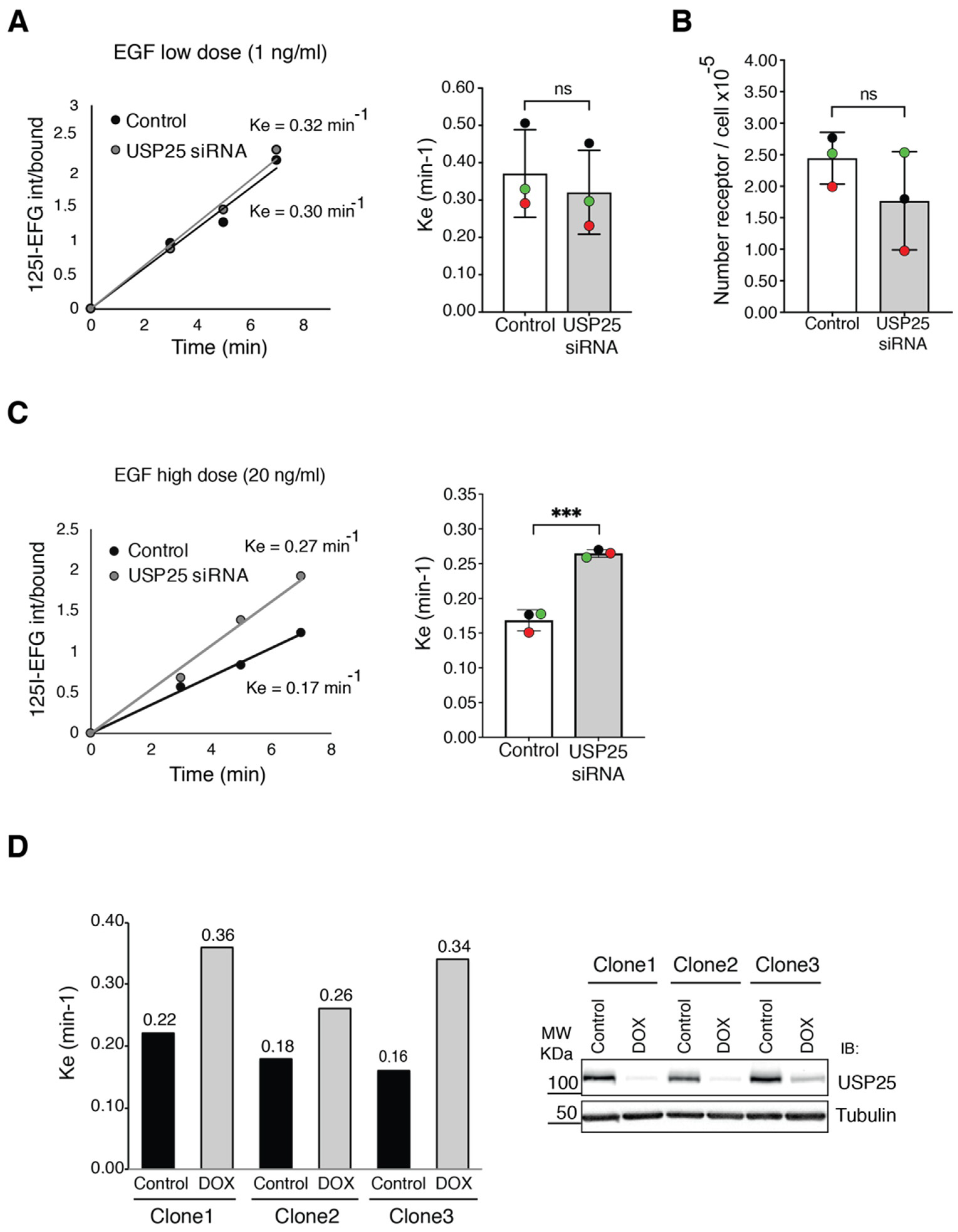Biomolecules 10 01548 g003