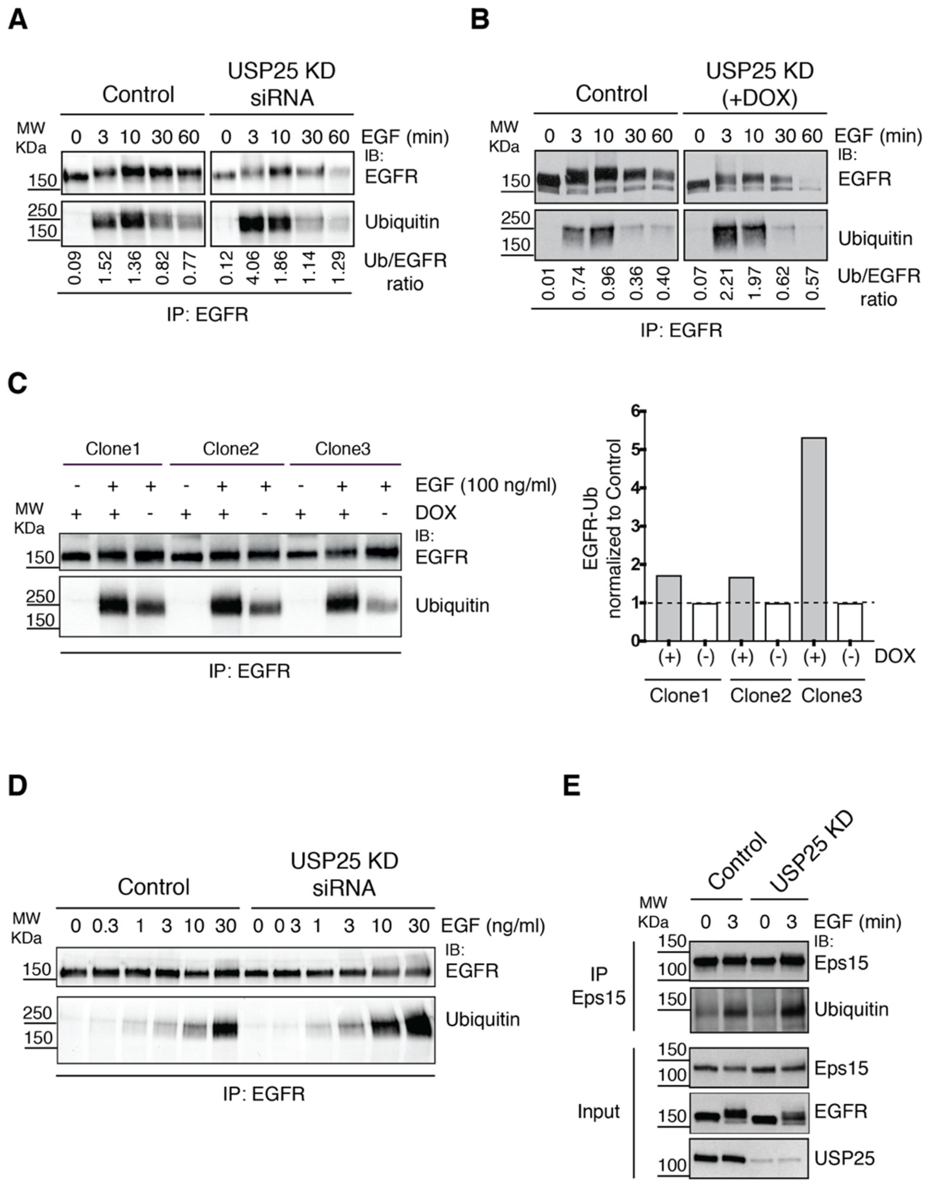 Biomolecules 10 01548 g004