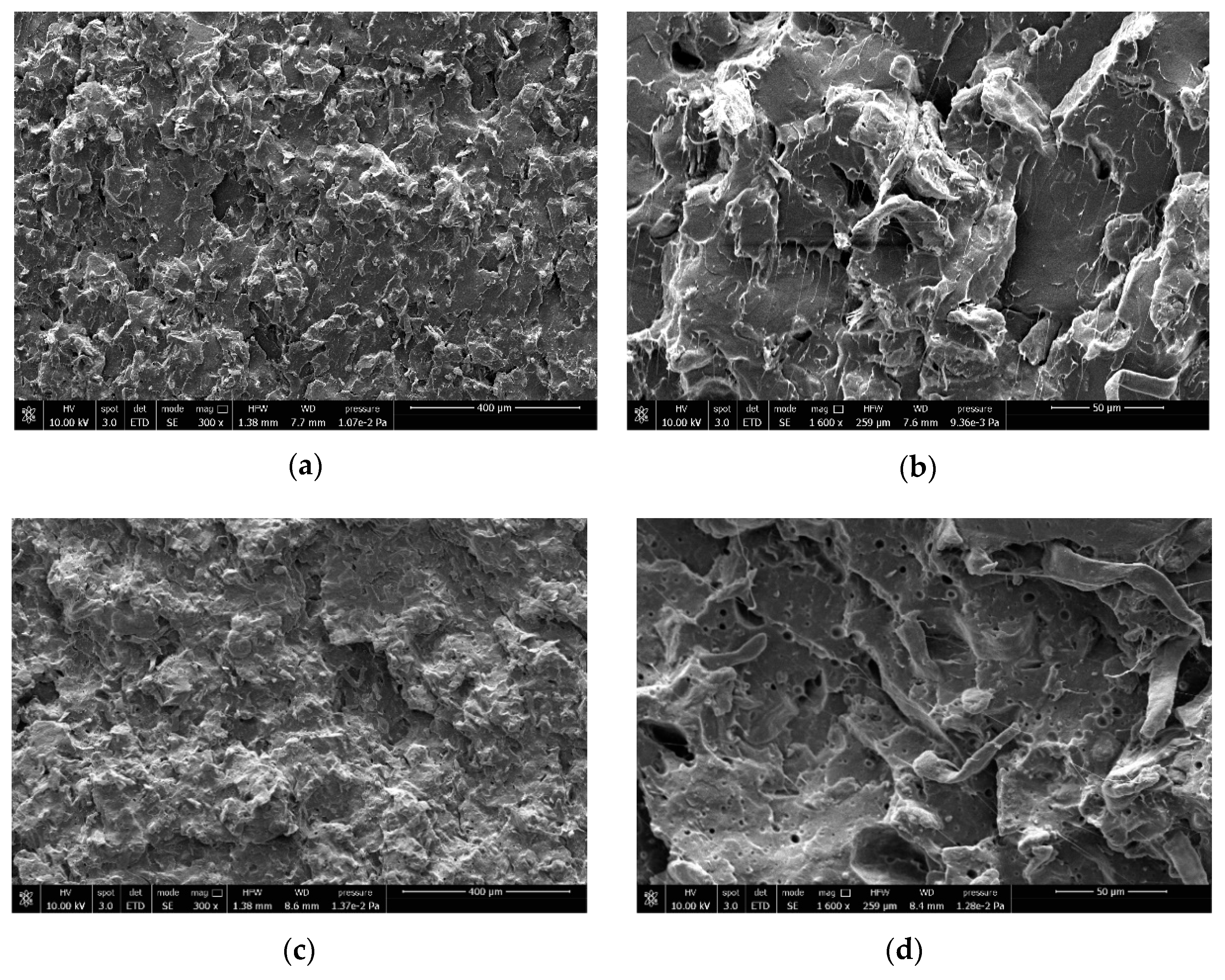 Biomolecules 10 01549 g007a Biomolecules 10 01549 g007a