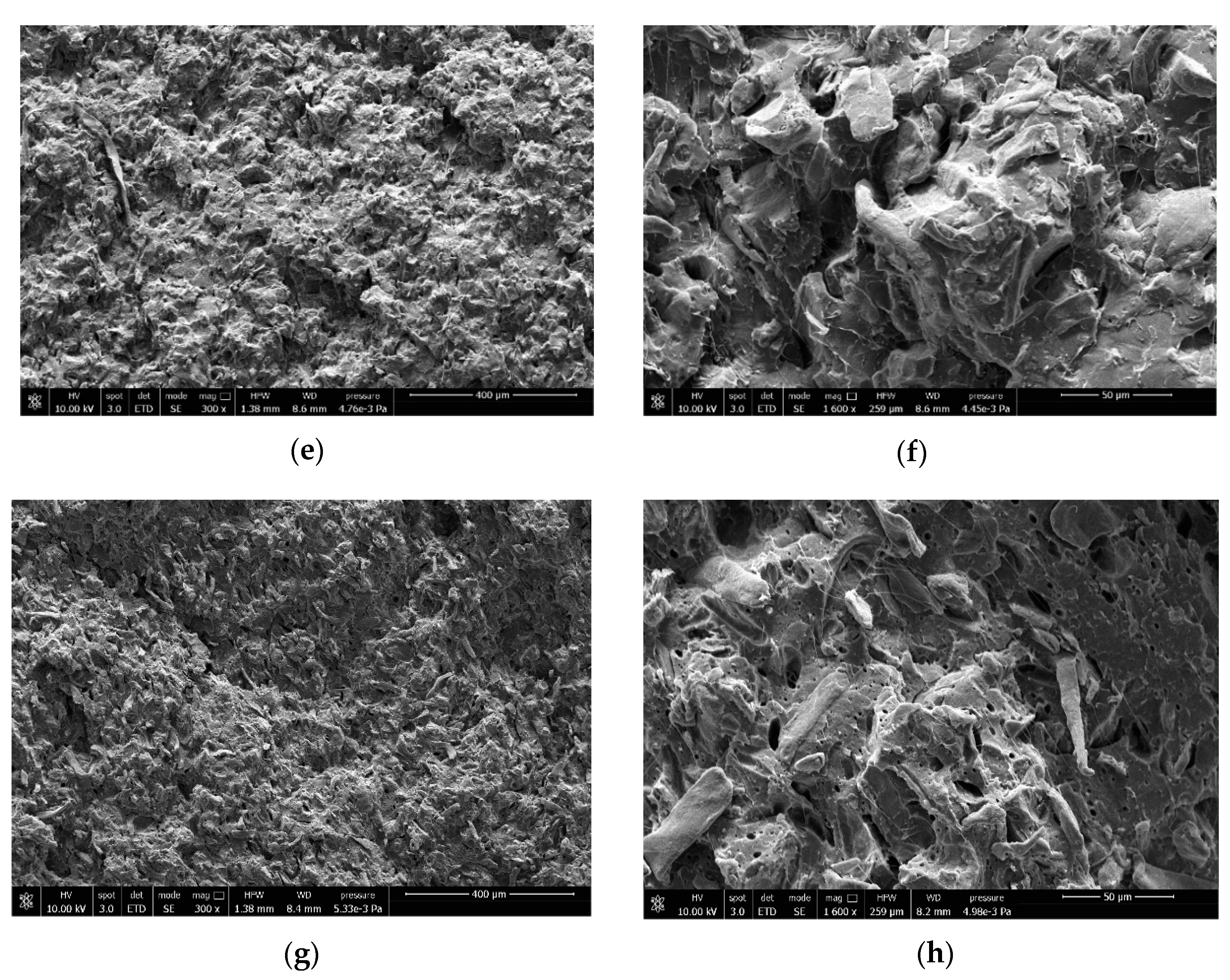 Biomolecules 10 01549 g007b Biomolecules 10 01549 g007b