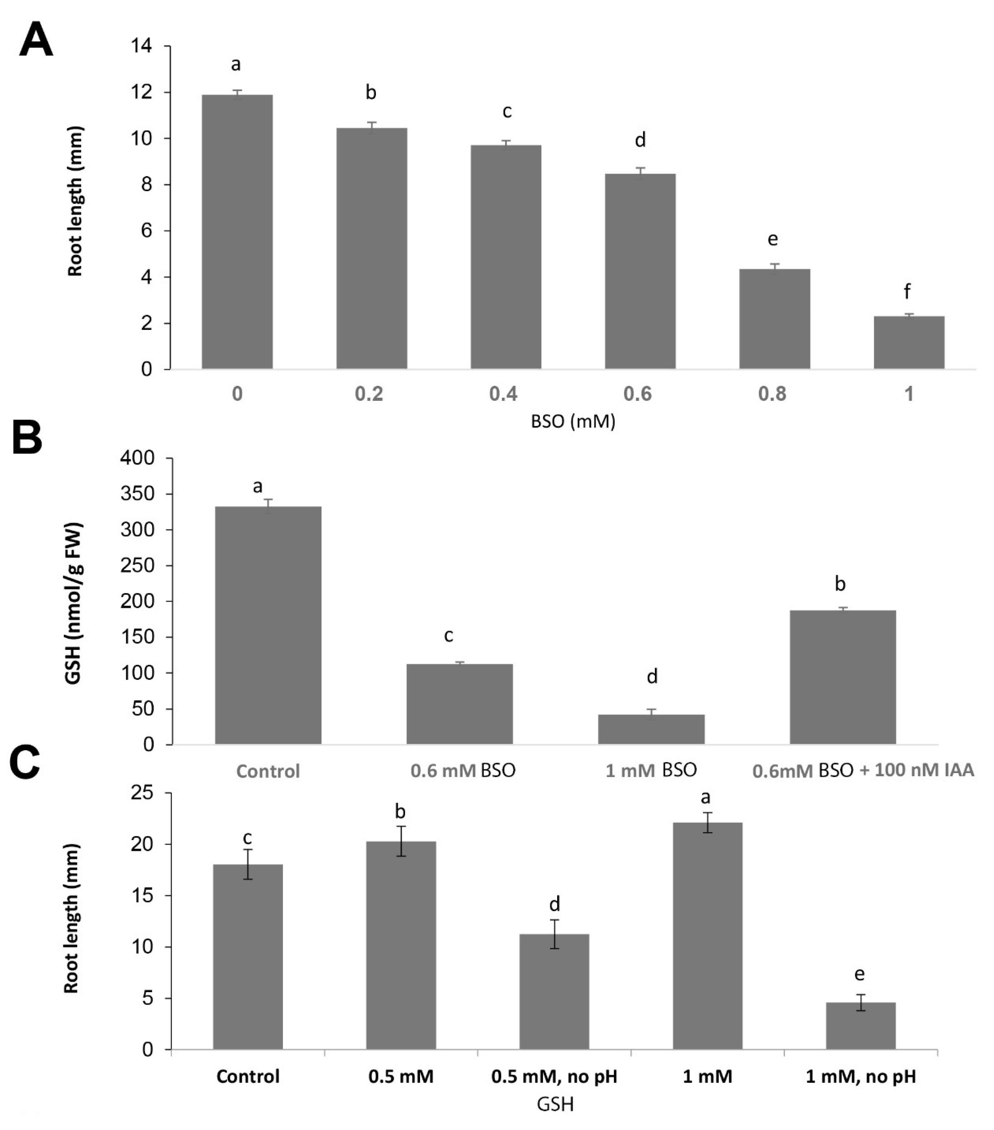 Biomolecules 10 01550 g002a Biomolecules 10 01550 g002a
