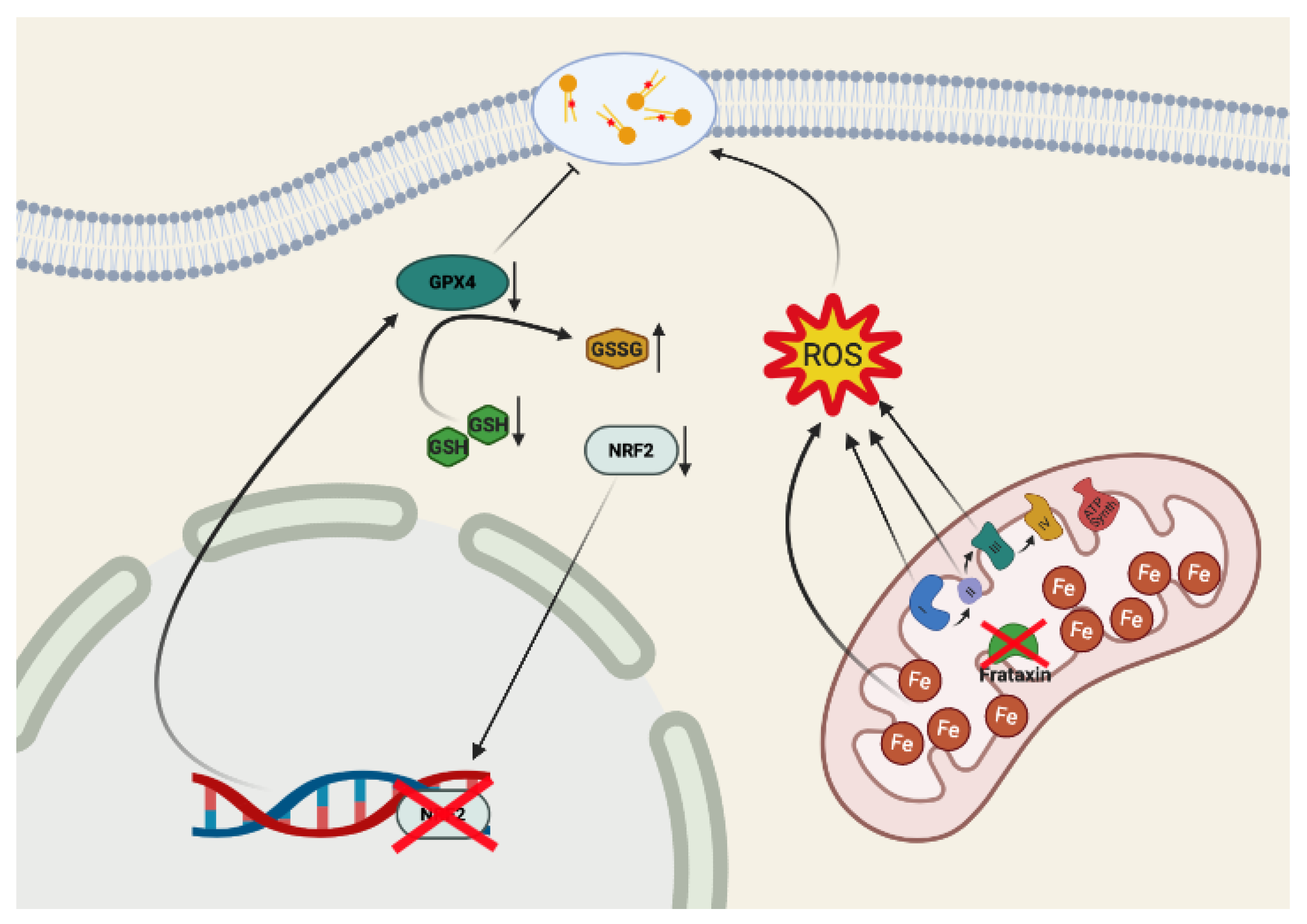 Biomolecules 10 01551 g002