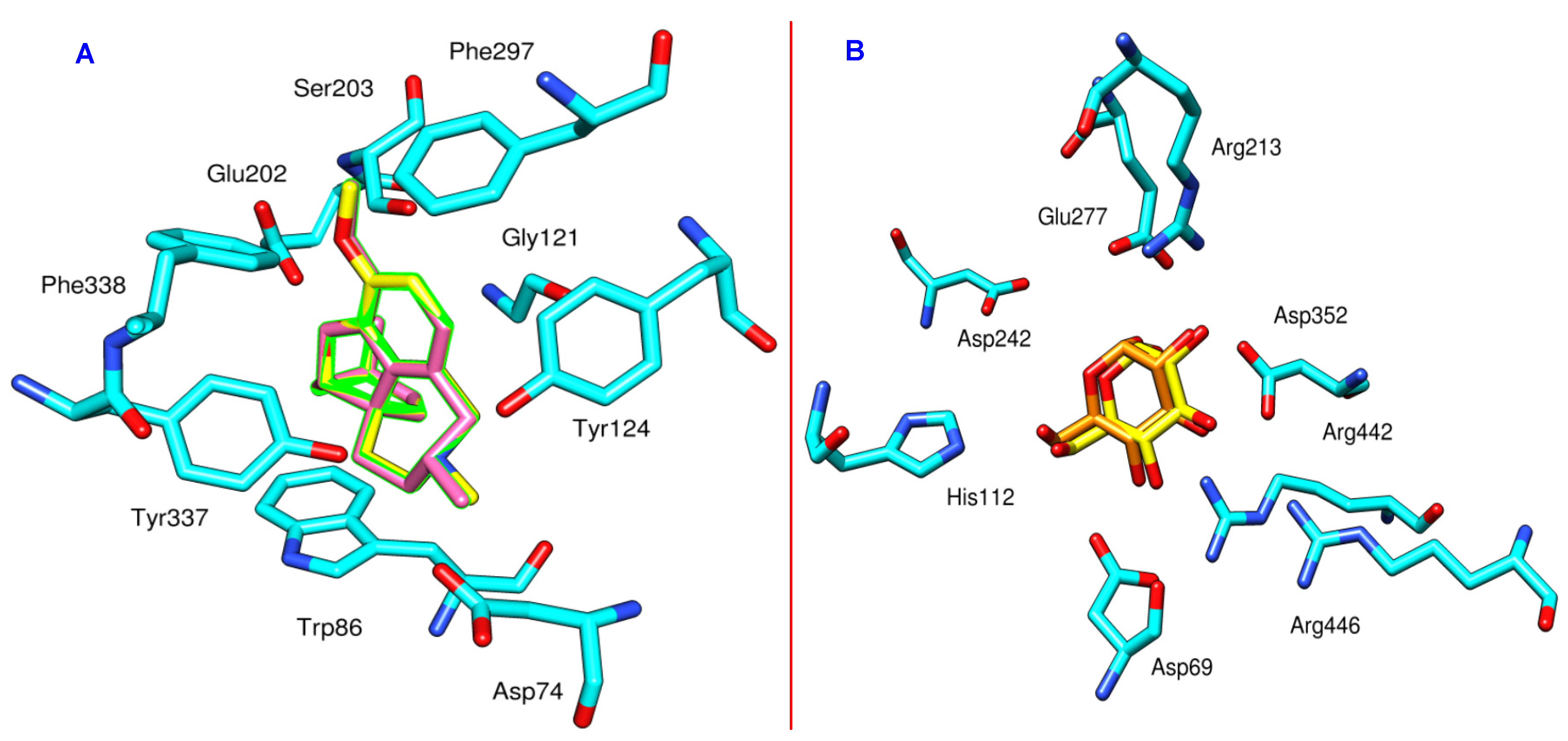Biomolecules 10 01562 g001