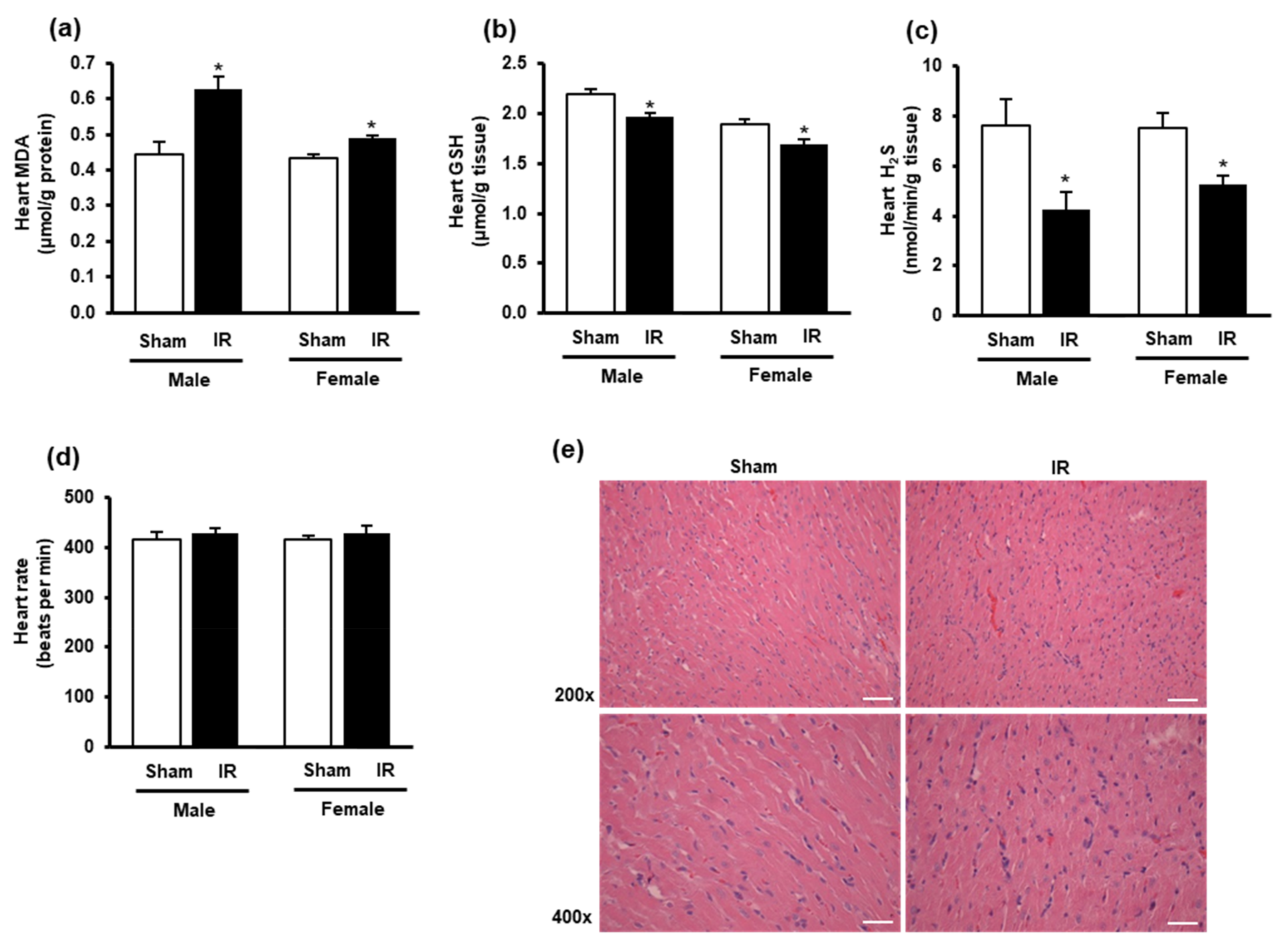 Biomolecules 10 01565 g002 Biomolecules 10 01565 g002