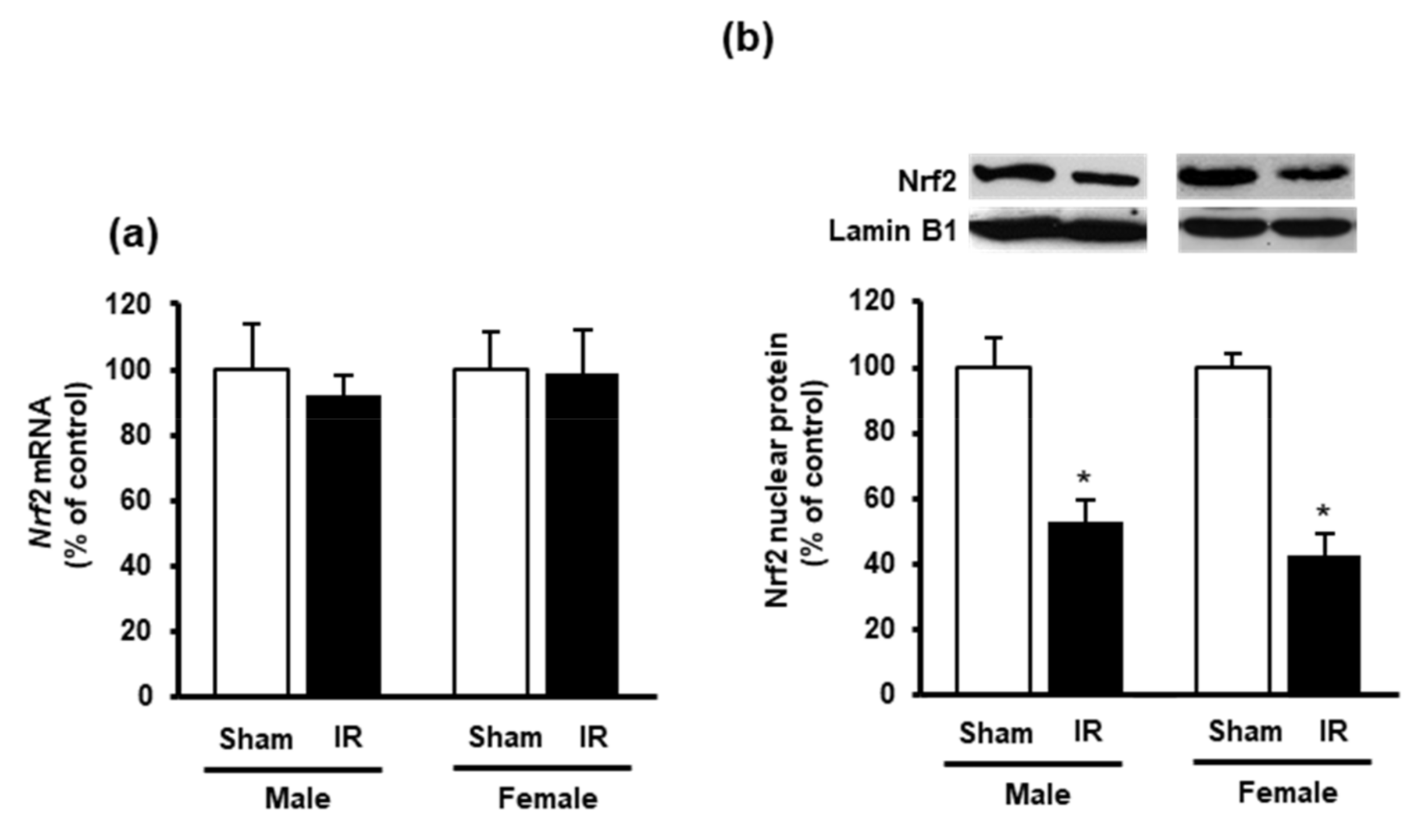 Biomolecules 10 01565 g005 Biomolecules 10 01565 g005