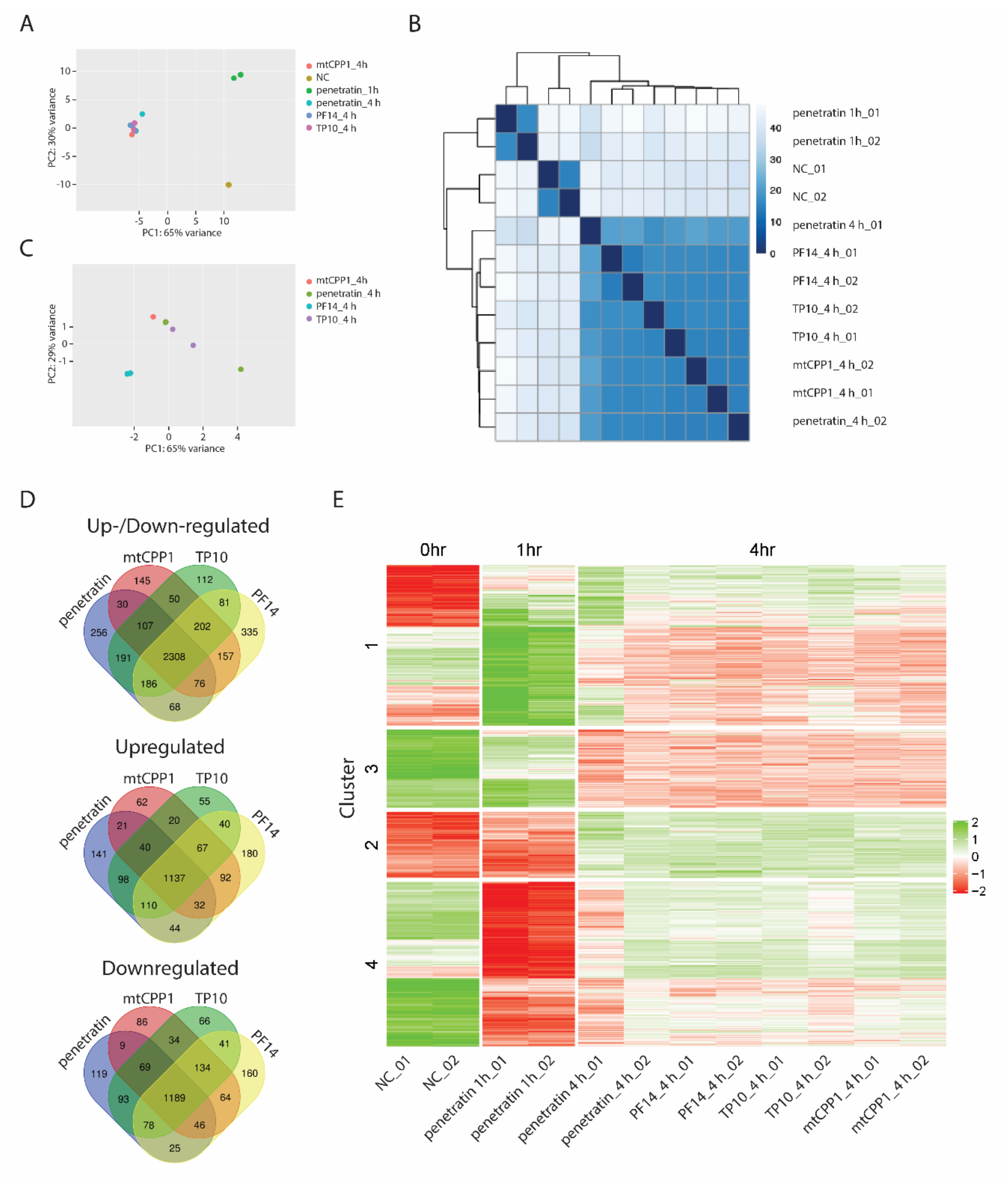 Biomolecules 10 01567 g004