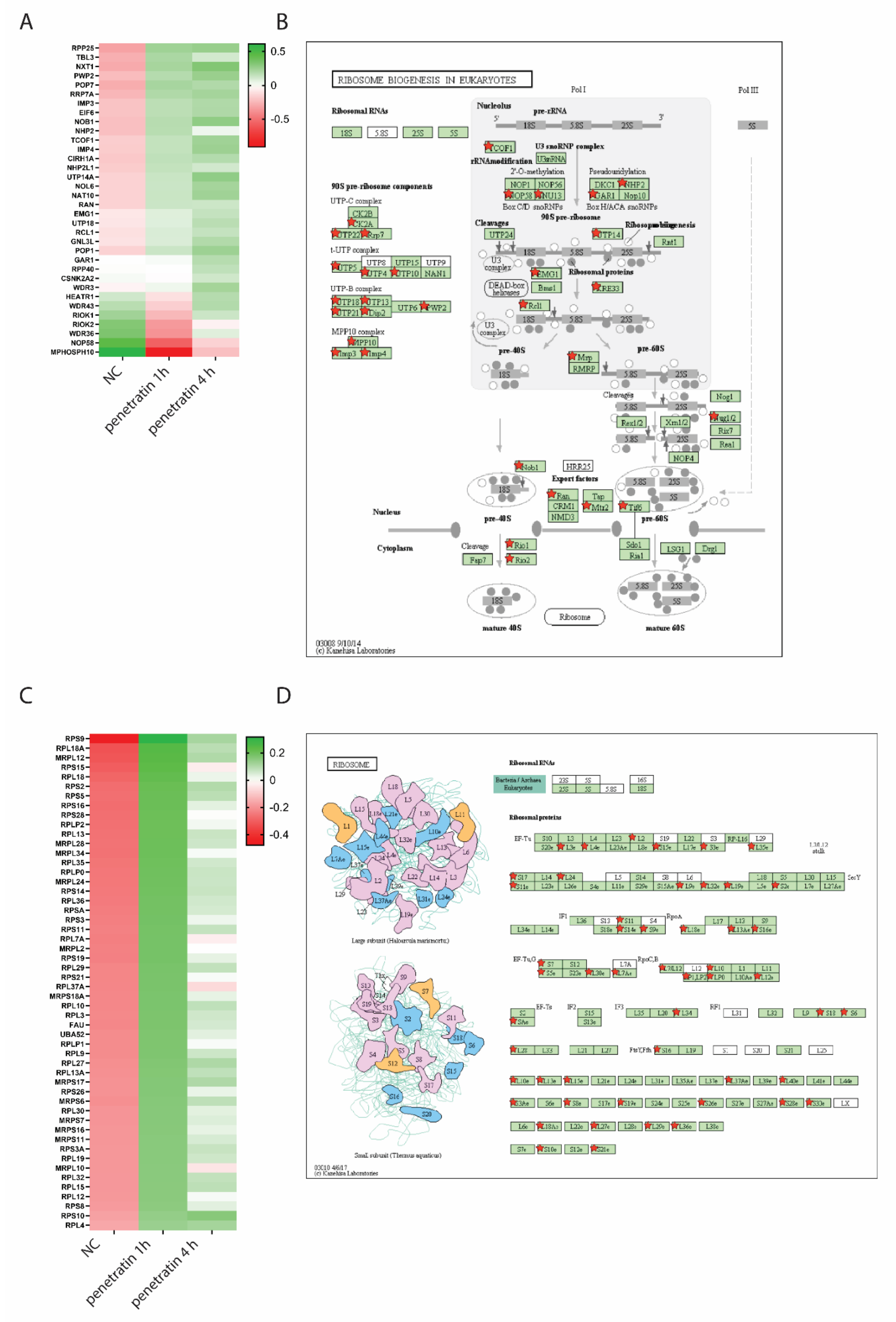 Biomolecules 10 01567 g005